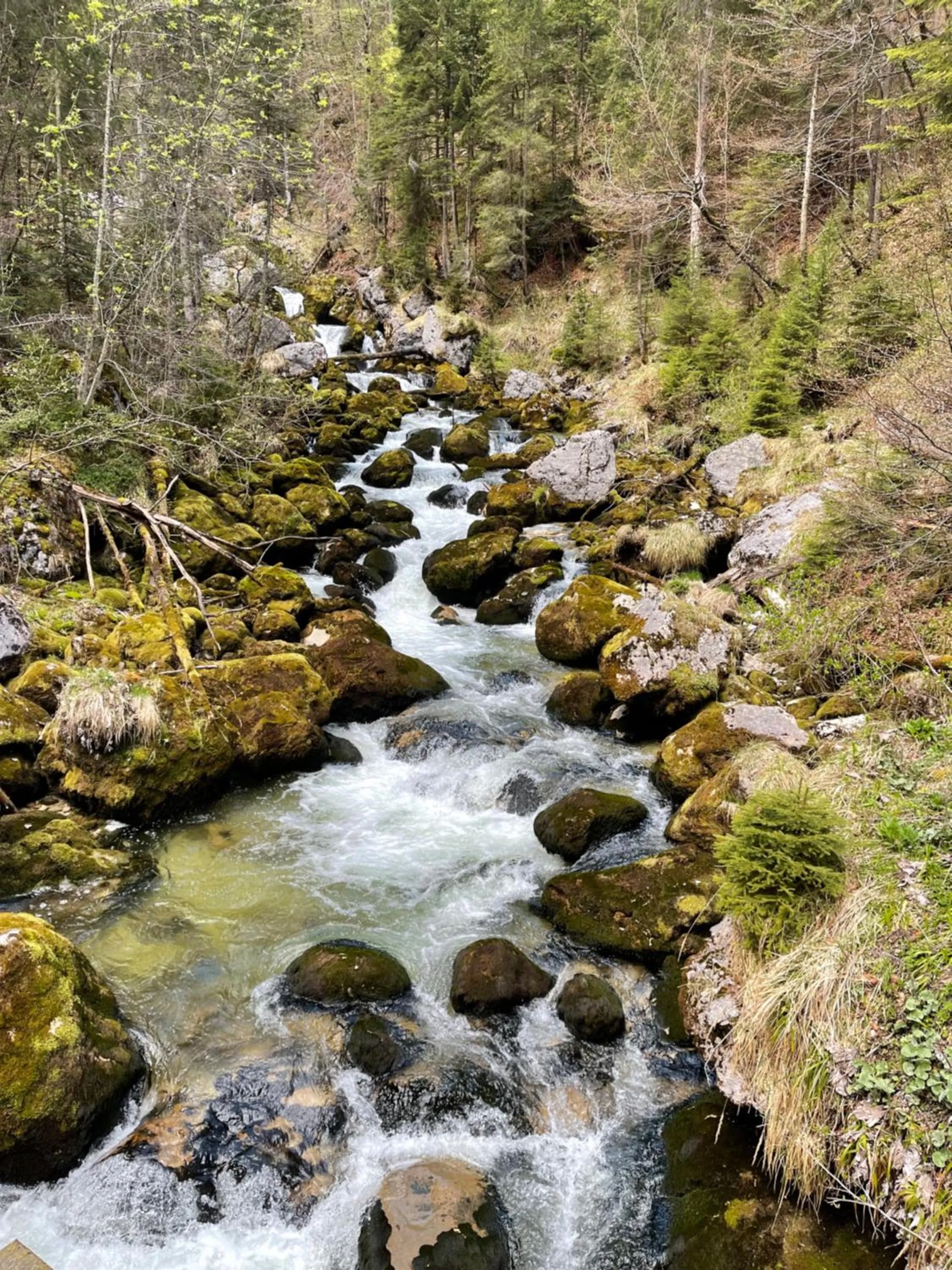 Fenix Hall Boutique Hotel Hallstatt