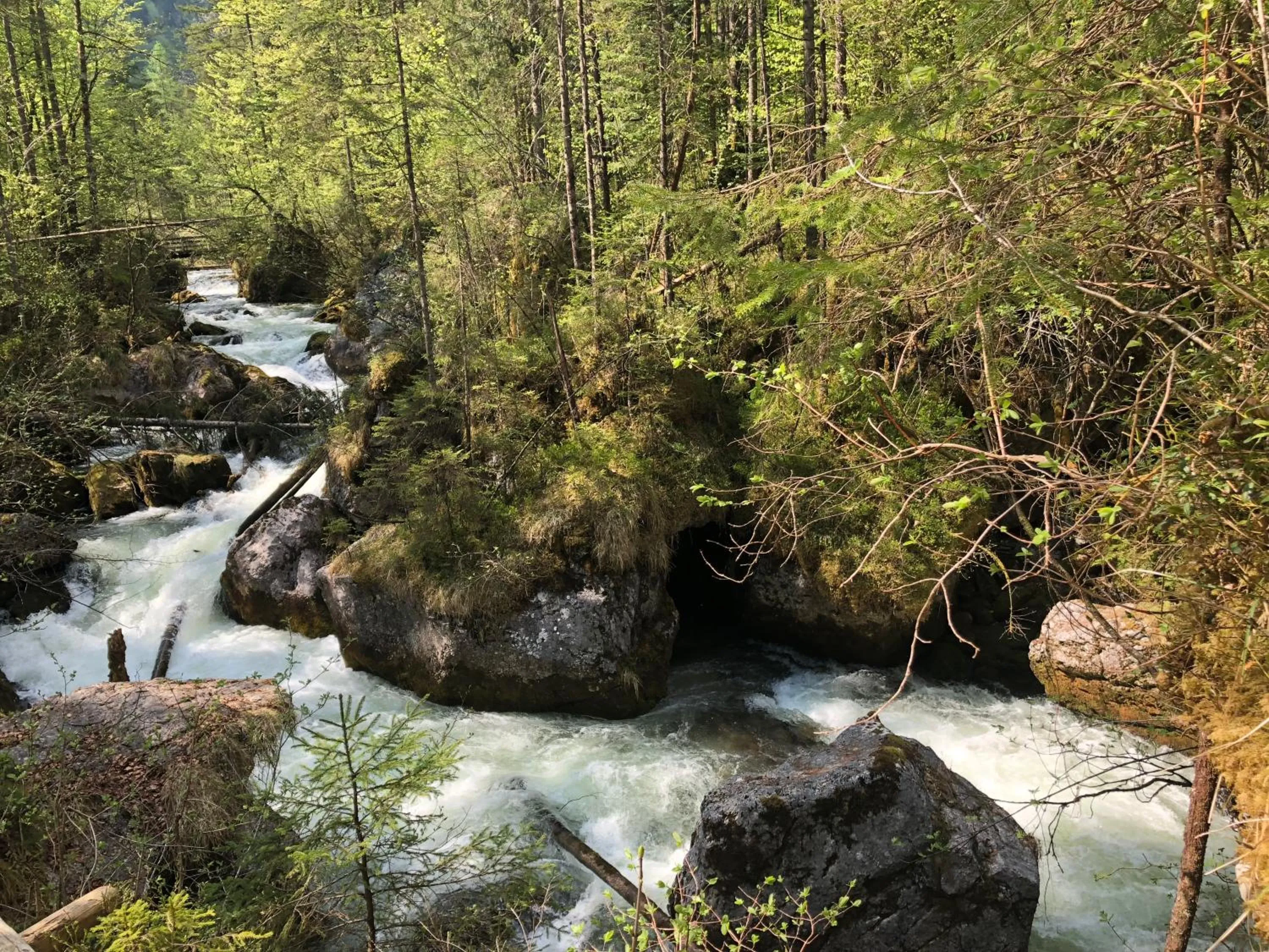 Natural landscape in Fenix Hall Boutique Hotel Hallstatt