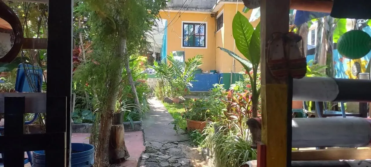 Garden in Hotel y Restaurante Playa Linda