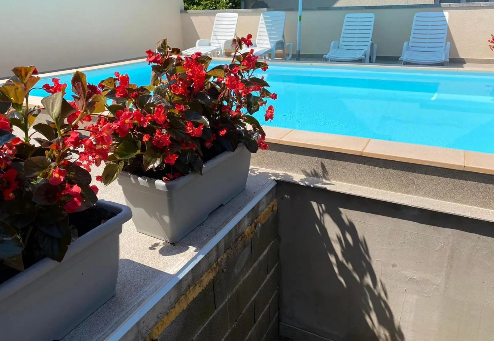 Pool view in Motel Alibi