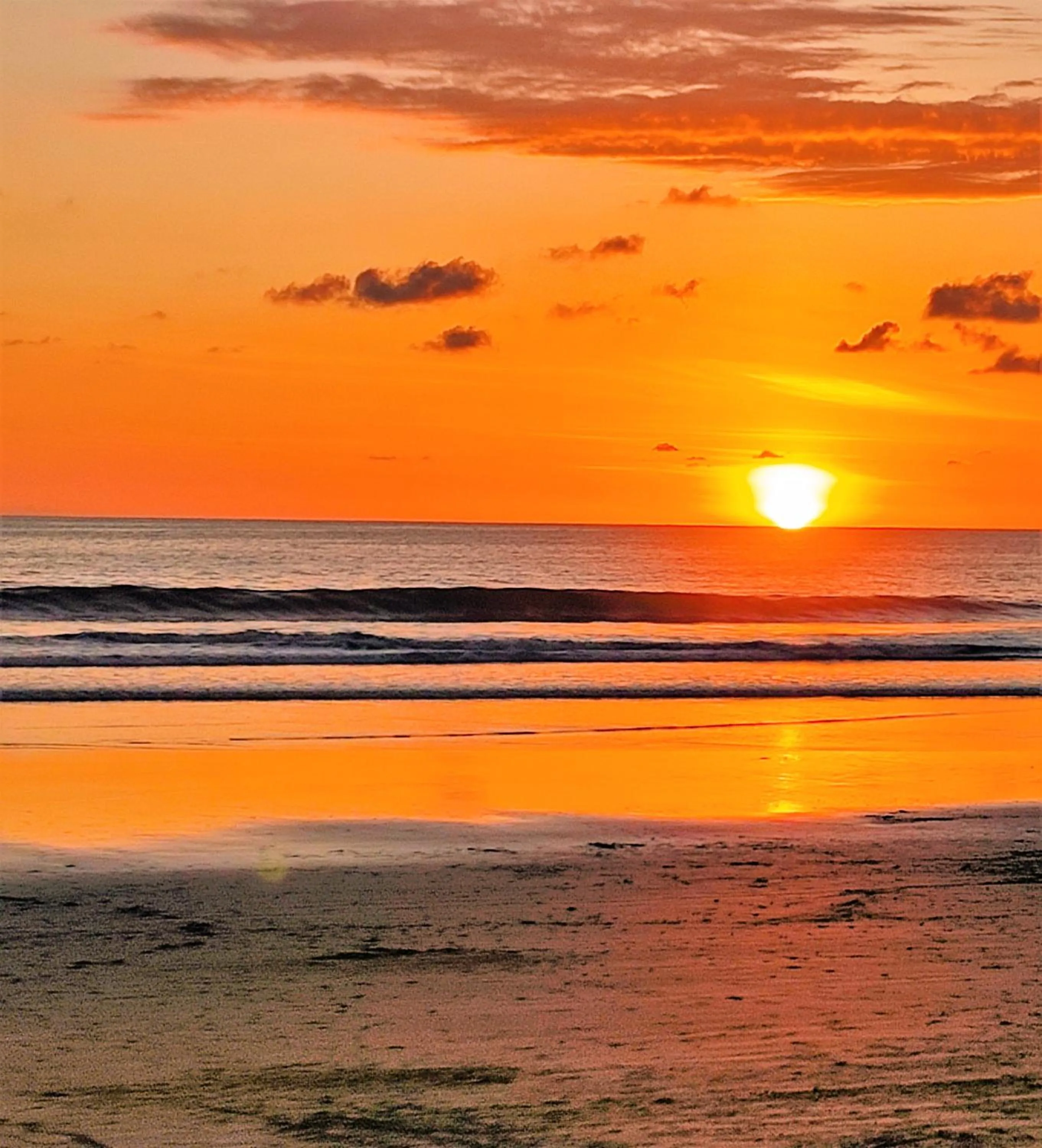 Cabinas Bahía Uvita - Marino Ballena National Park Lodge
