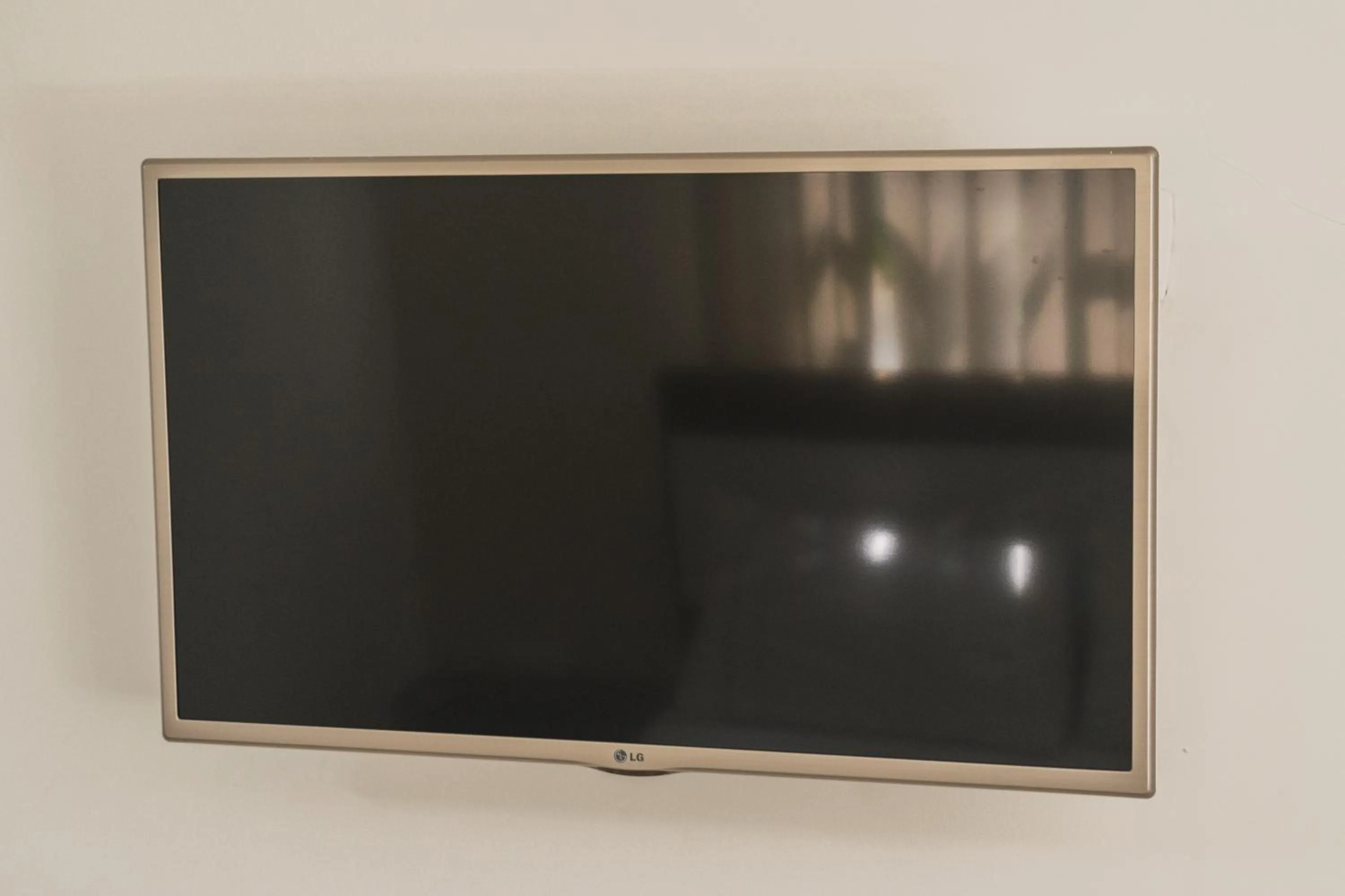 TV and multimedia in Hotel Manantial