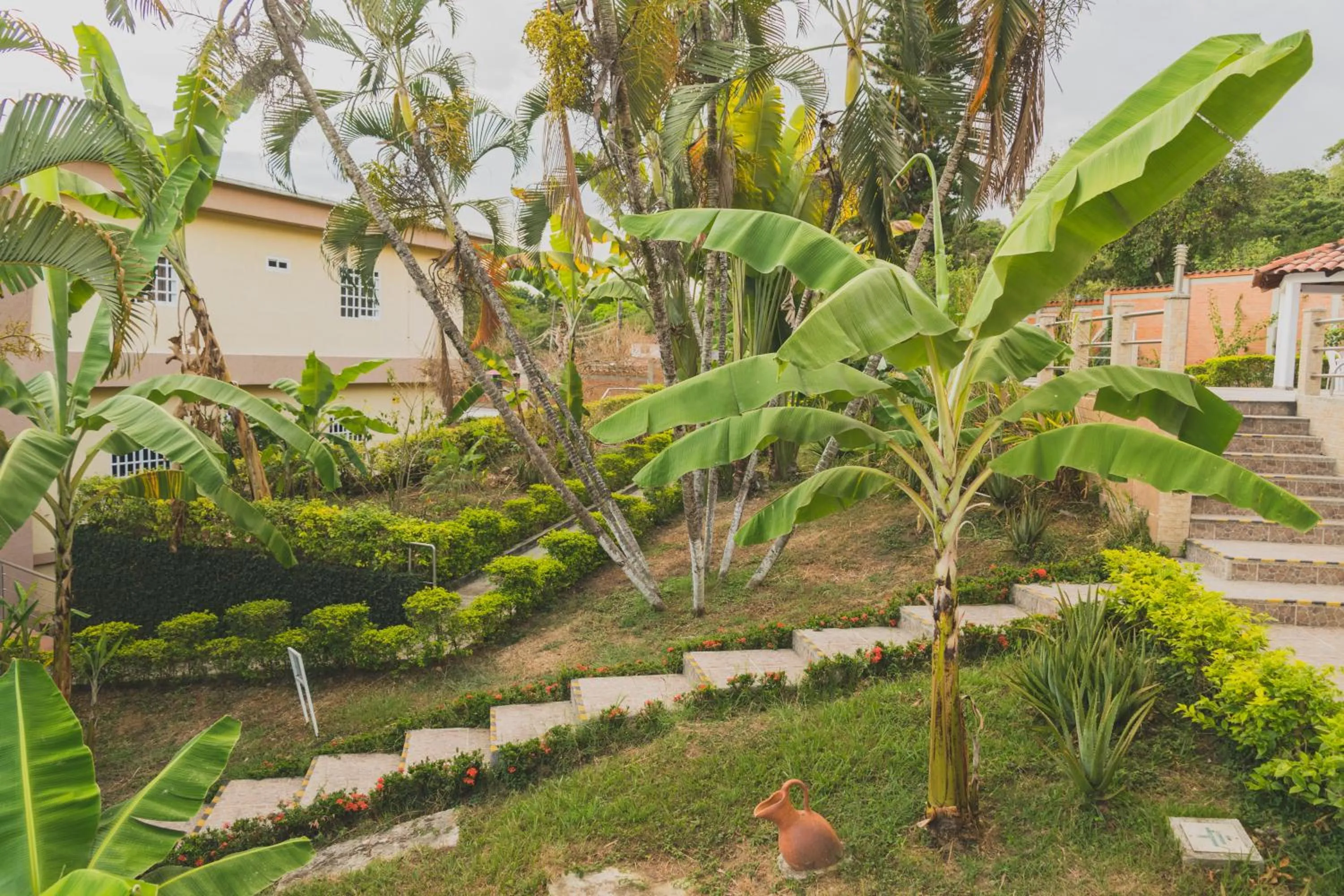 Patio in Hotel Manantial