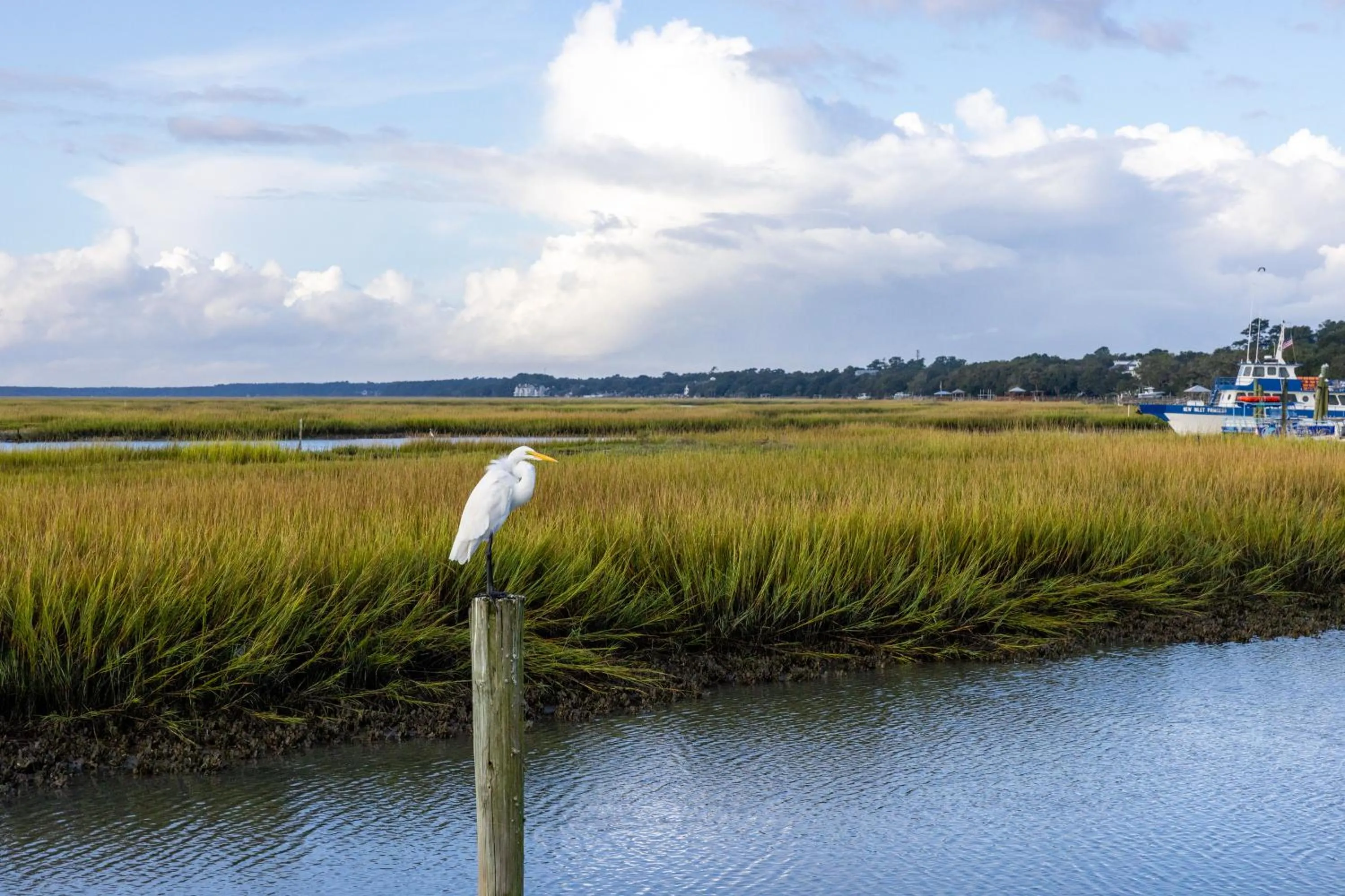 Area and facilities in Sea Mystique Resort