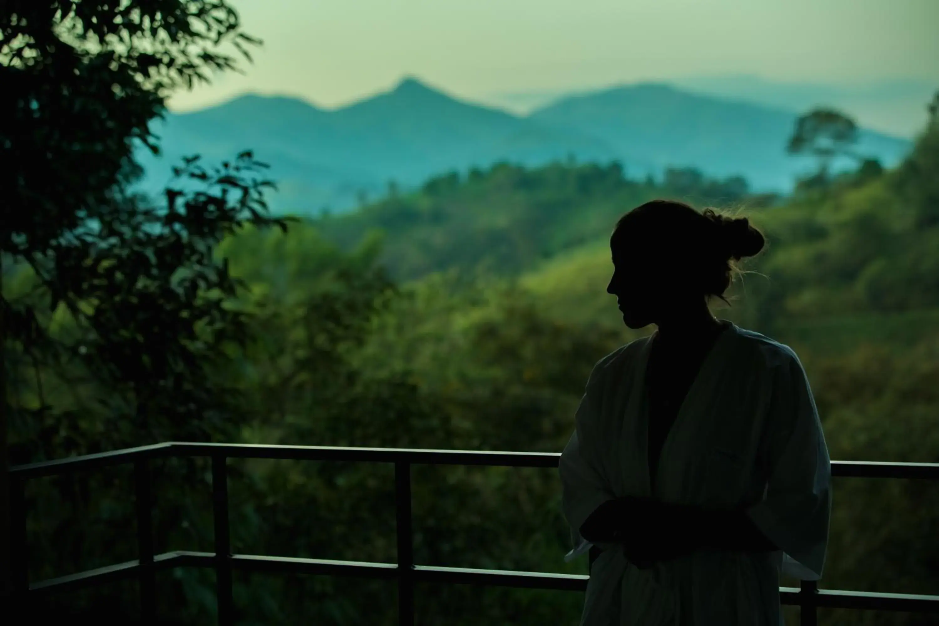 Wayanad Wild - A CGH Earth Experience Wayanad Wild - A CGH Earth Experience