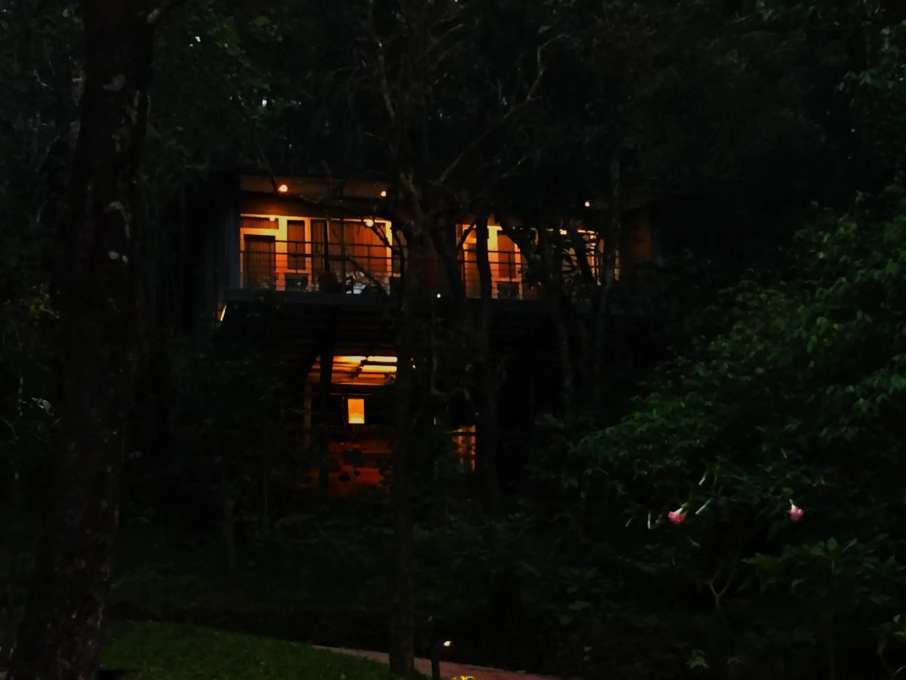 Property building in Wayanad Wild - A CGH Earth Experience Property building in Wayanad Wild - A CGH Earth Experience