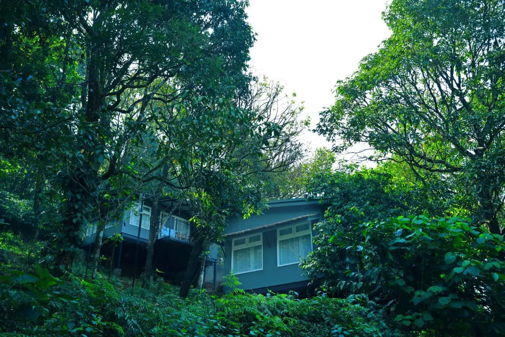 Property building in Wayanad Wild - A CGH Earth Experience Property building in Wayanad Wild - A CGH Earth Experience