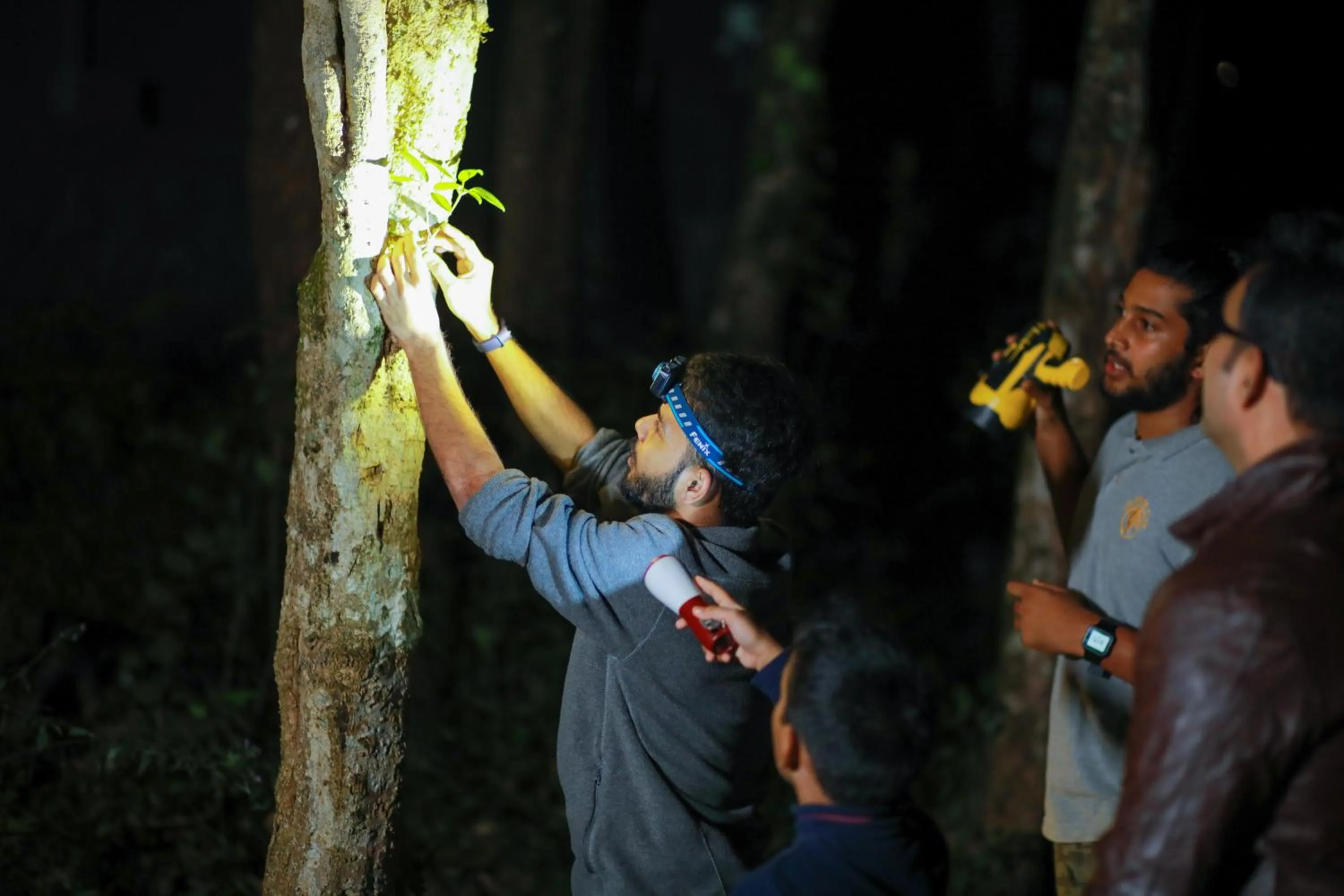 Activities in Wayanad Wild - A CGH Earth Experience