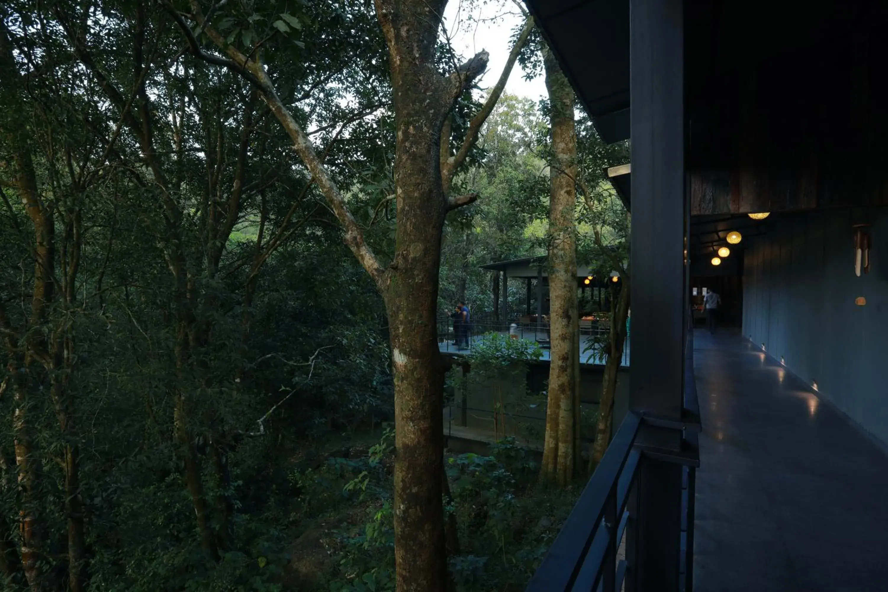 Property building in Wayanad Wild - A CGH Earth Experience Property building in Wayanad Wild - A CGH Earth Experience