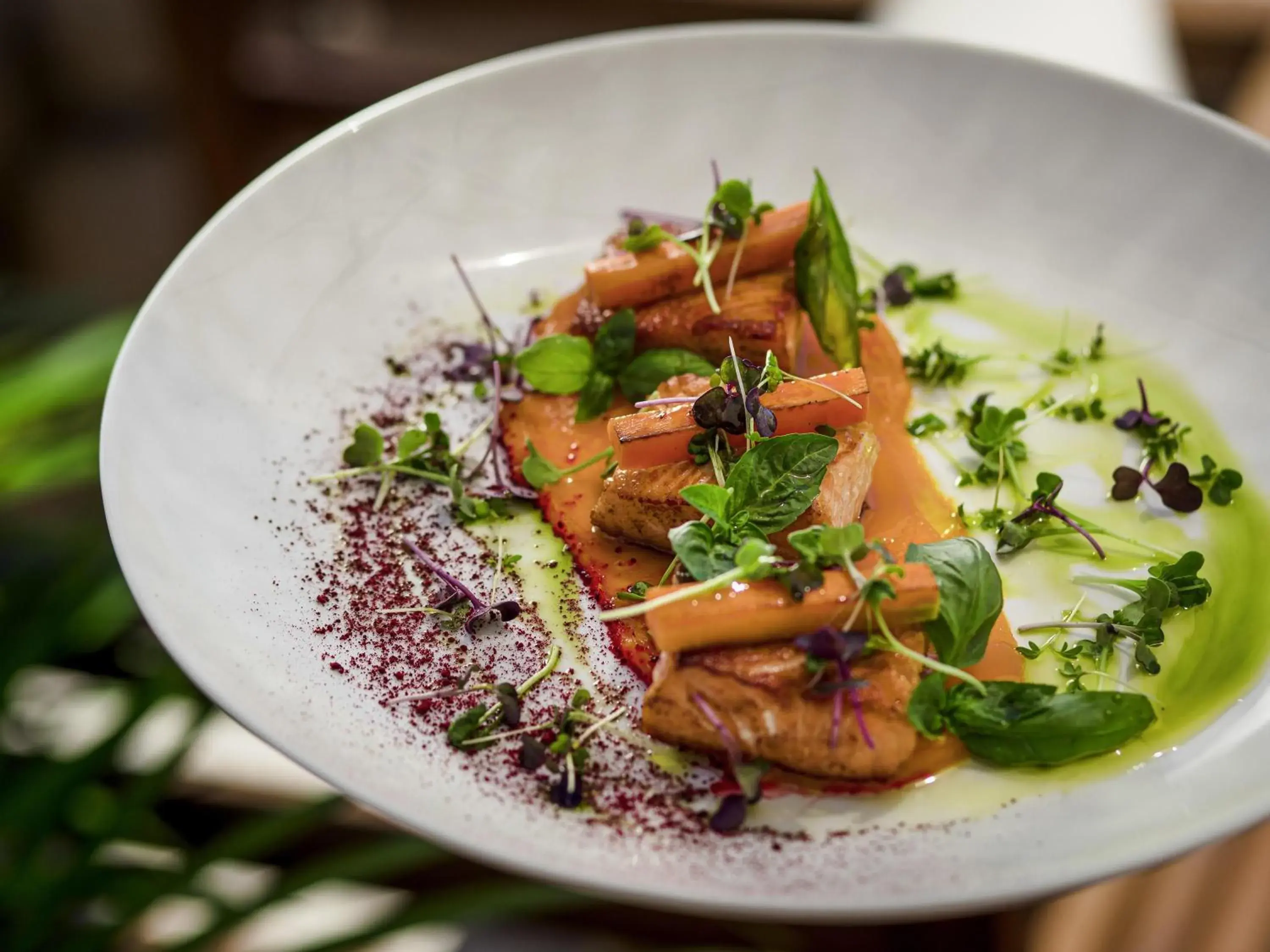 Restaurant/places to eat in Rixos Premium Dubrovnik Restaurant/places to eat in Rixos Premium Dubrovnik