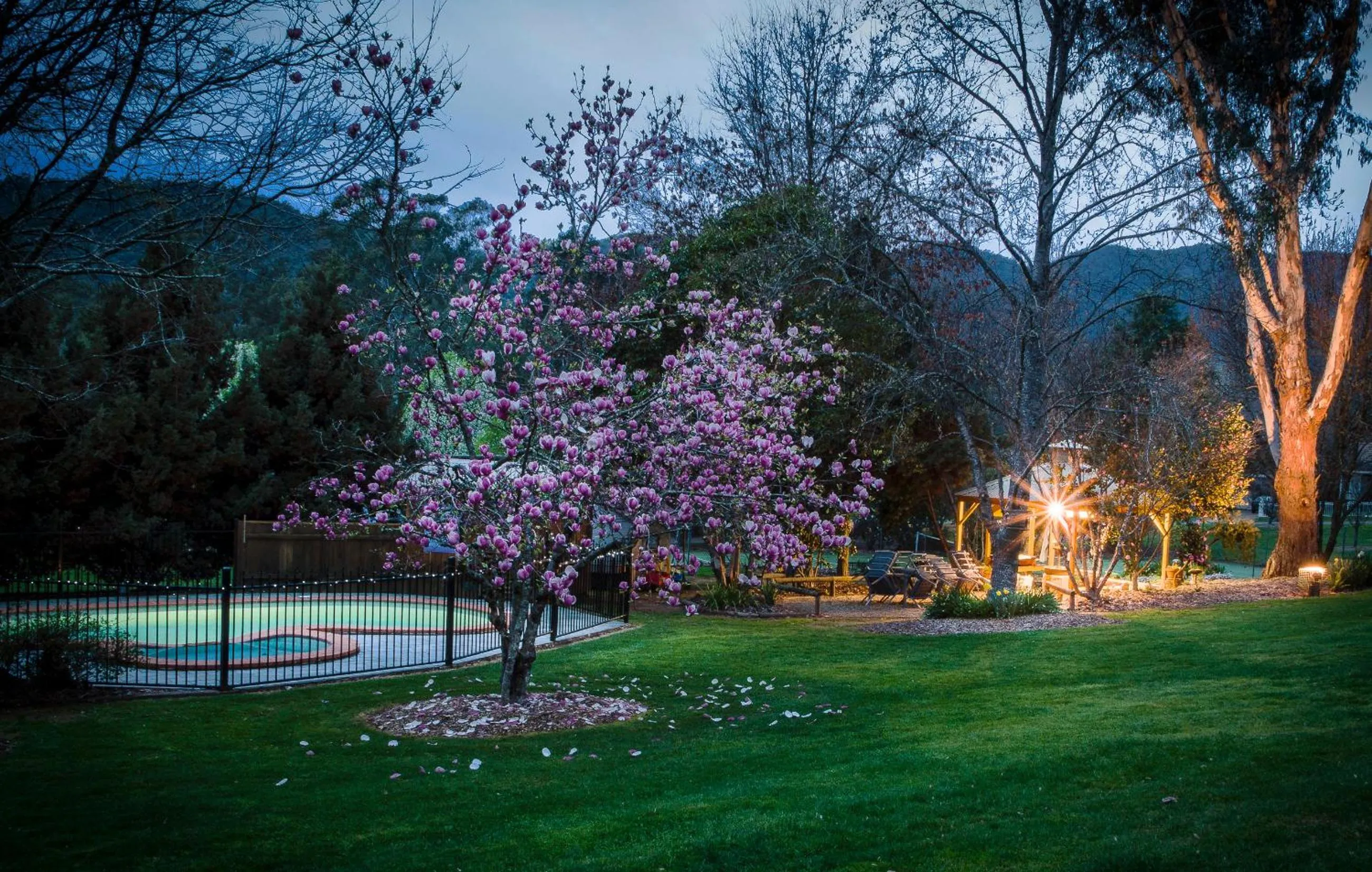 BBQ facilities in Bright Mystic Valley