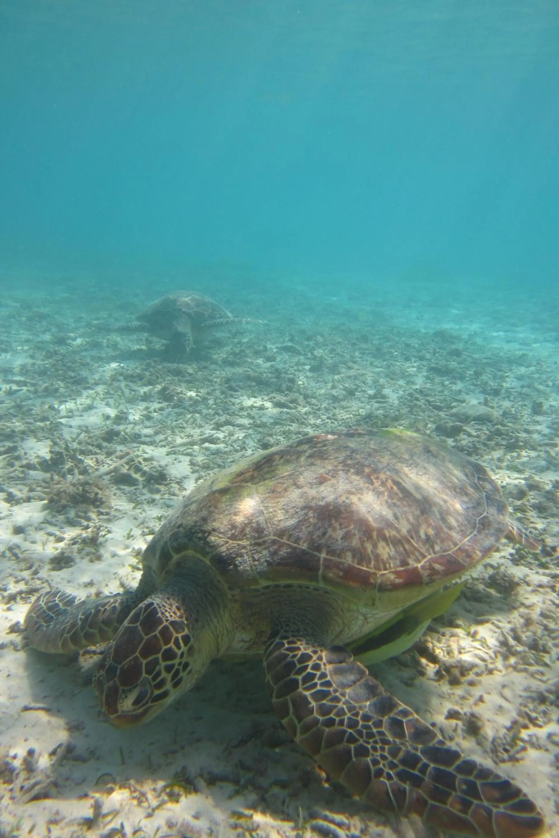 Natural landscape in Tokashiku Marine Villege