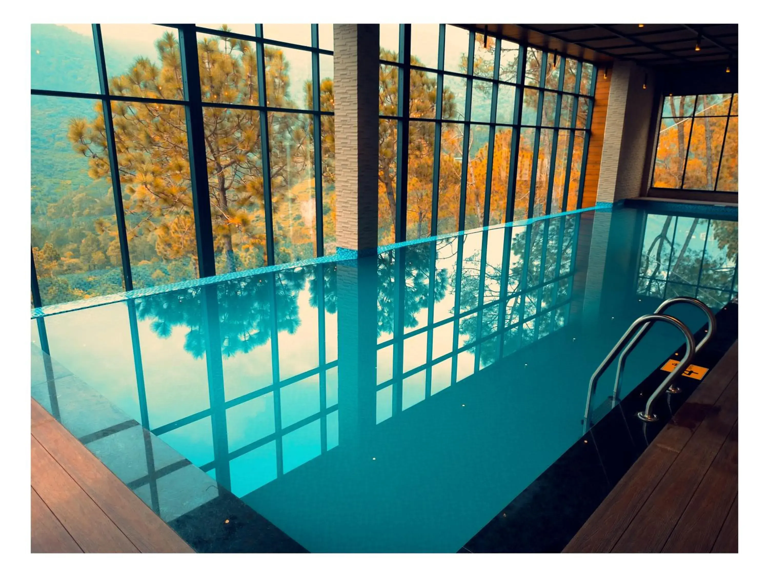 Swimming pool in Jungle Lodge Resort & Spa Swimming pool in Jungle Lodge Resort & Spa