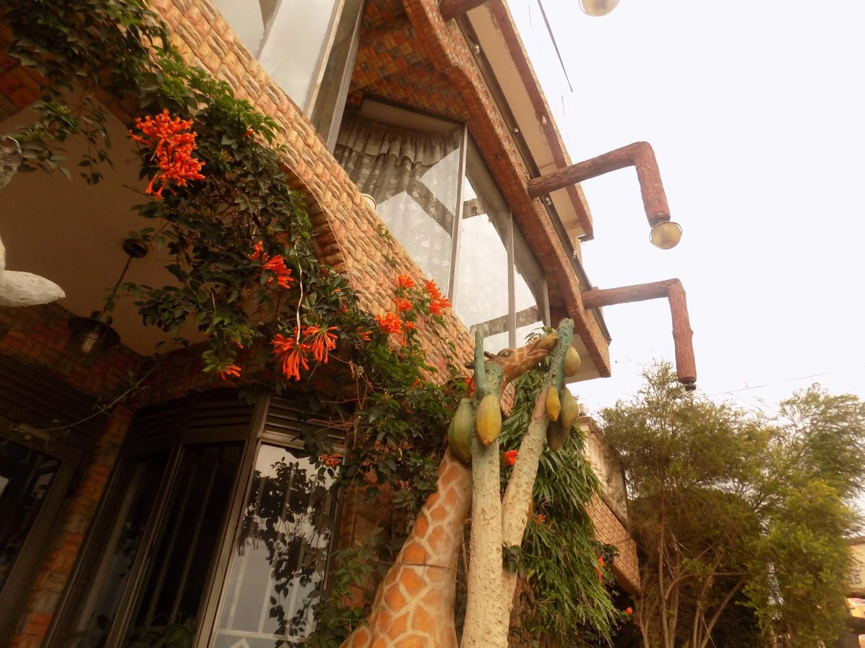 Property building in Meliva Guest House Mbarara