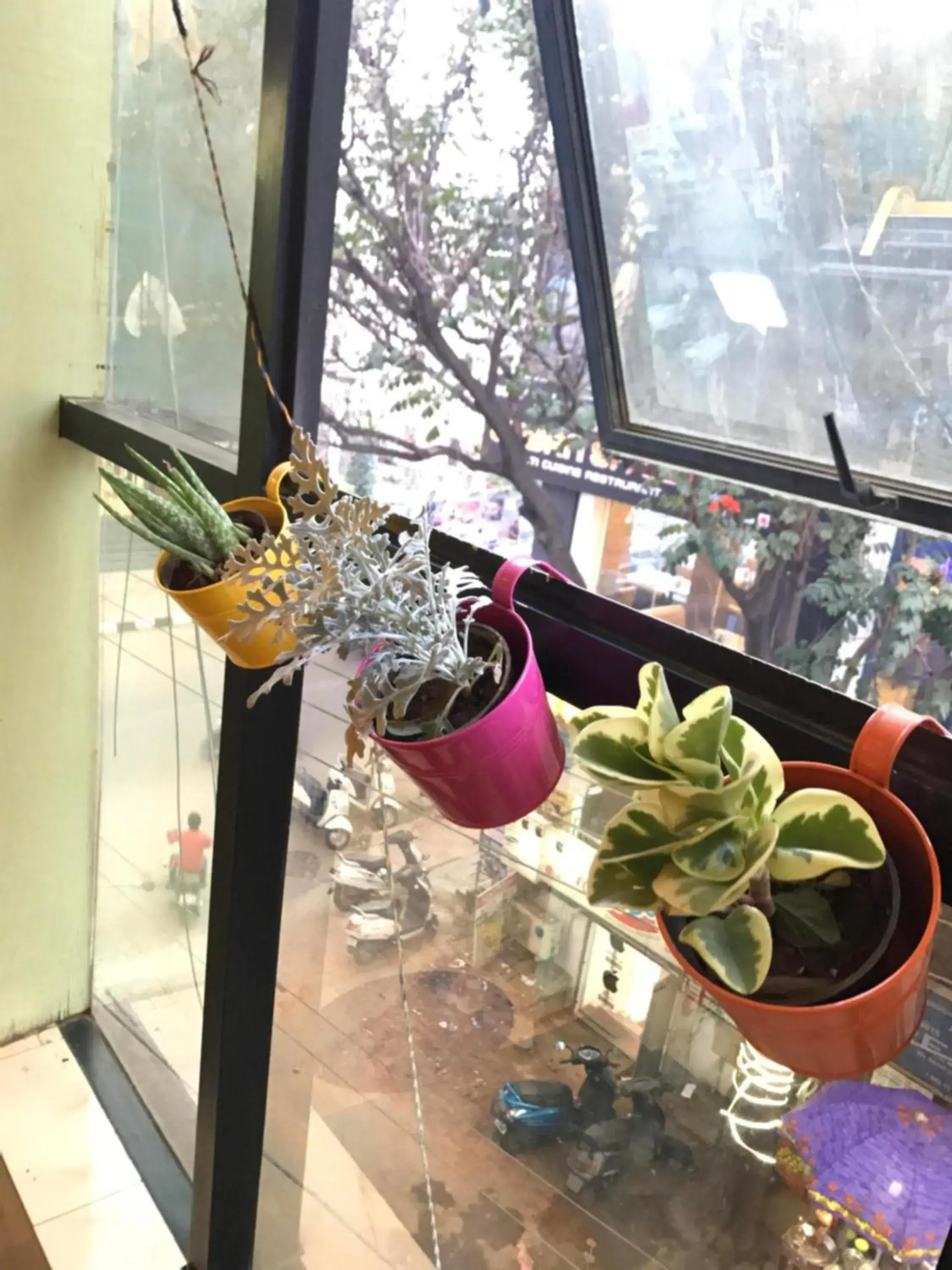 Facade/entrance in The Little Blue Window Hostel Facade/entrance in The Little Blue Window Hostel