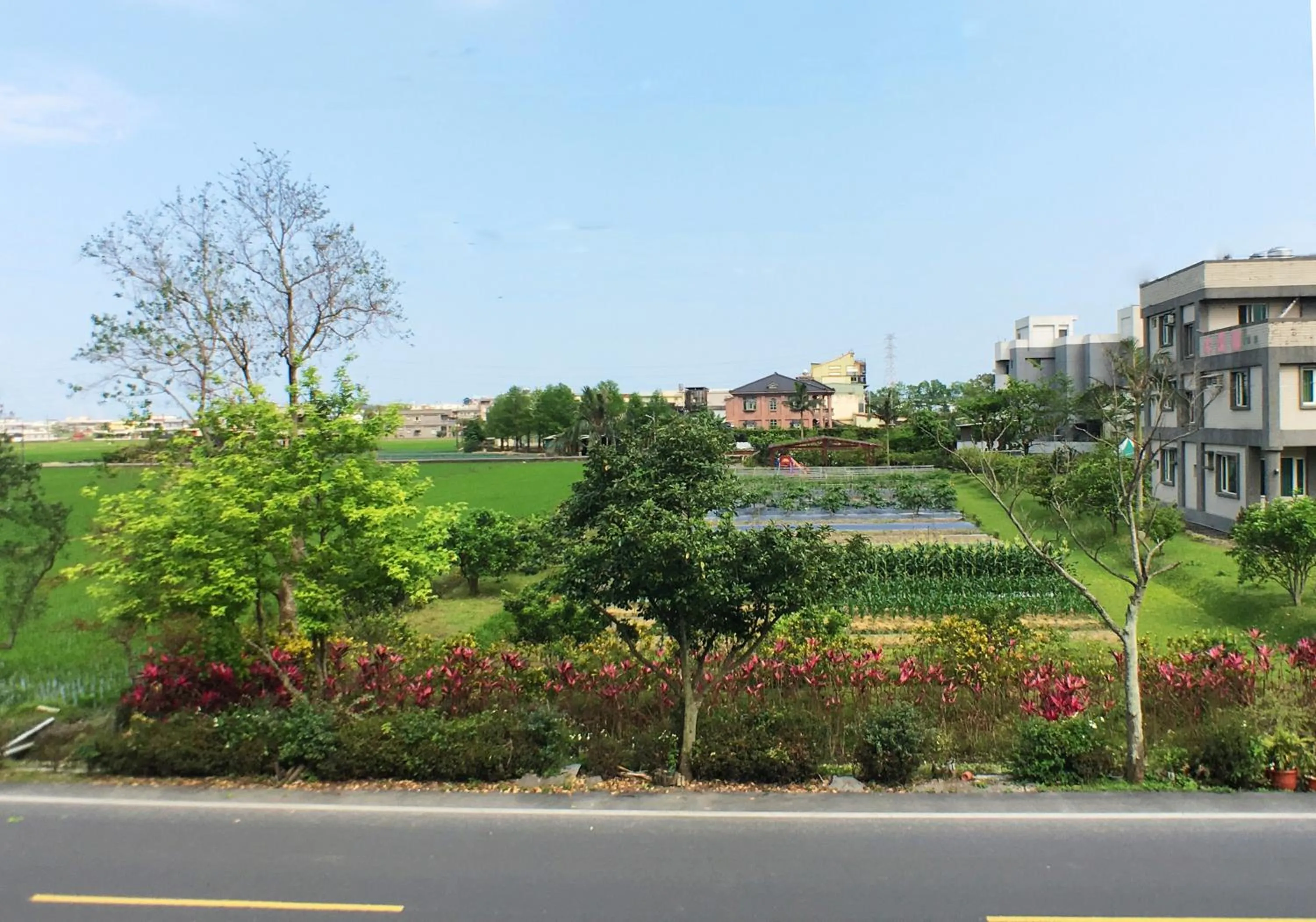 Laughter Habitat