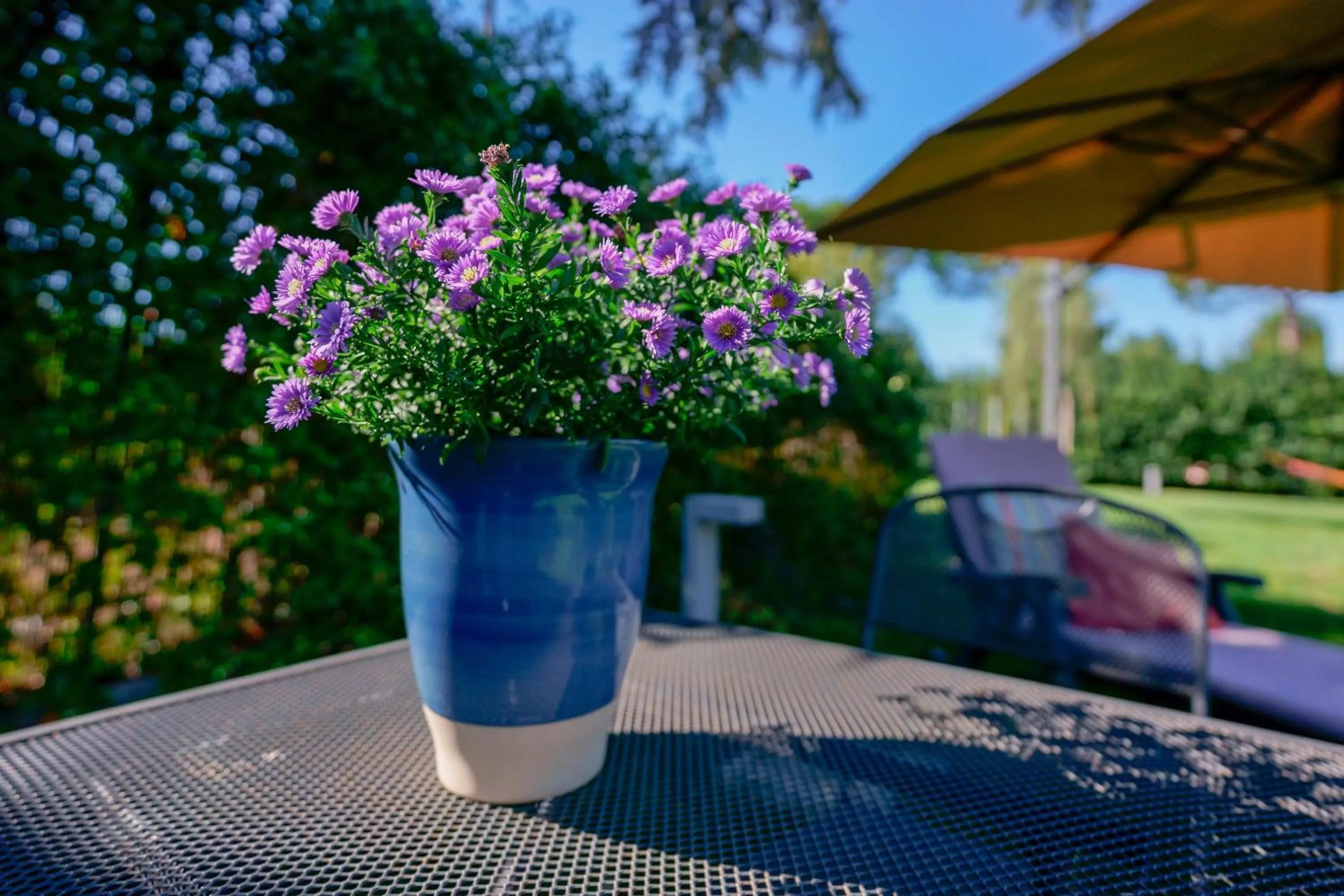 Garden view in Pixel b&b