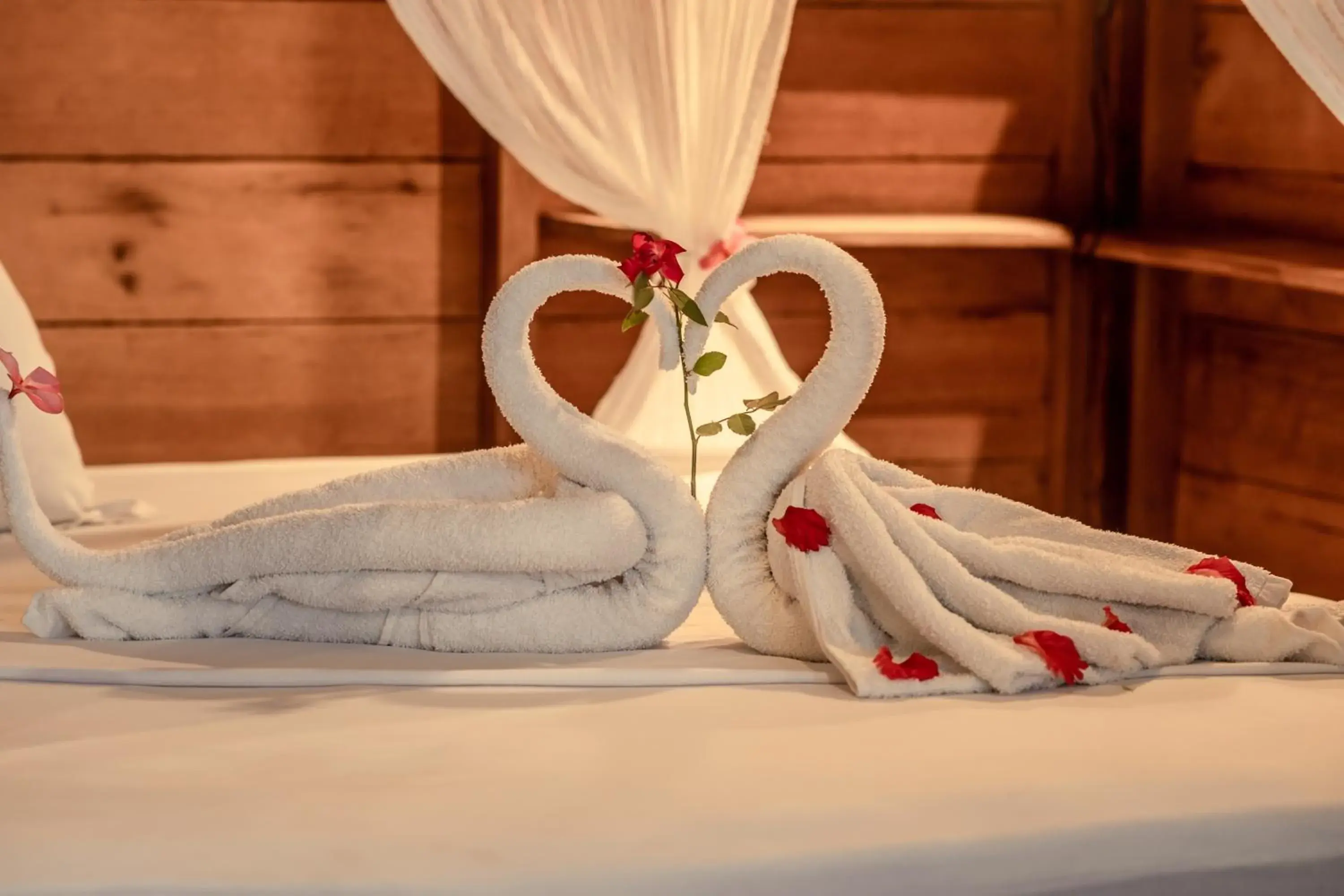 Bed in Casa Nemo Beach Resort & Spa Bed in Casa Nemo Beach Resort & Spa