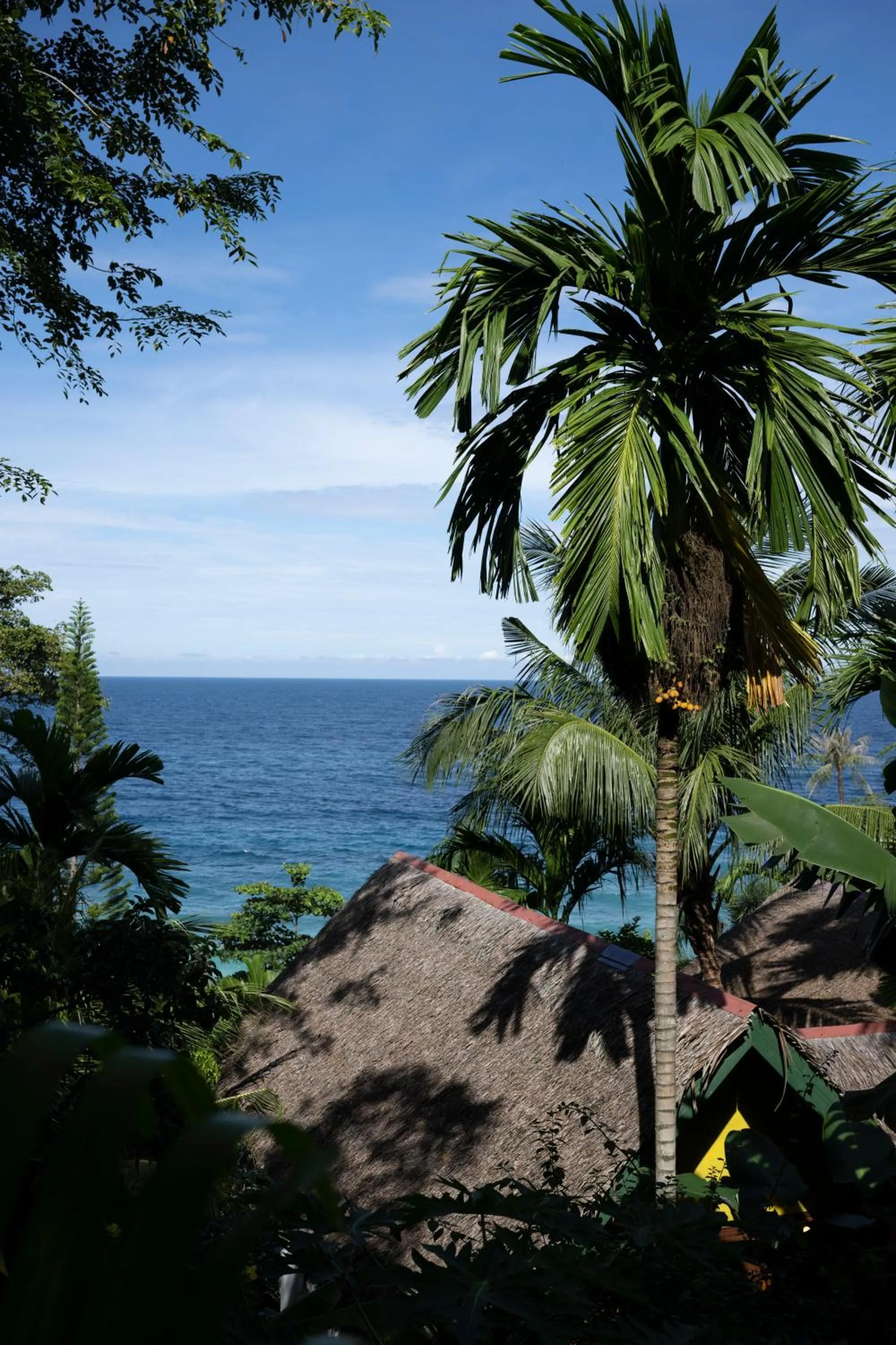Beach in Casa Nemo Beach Resort & Spa