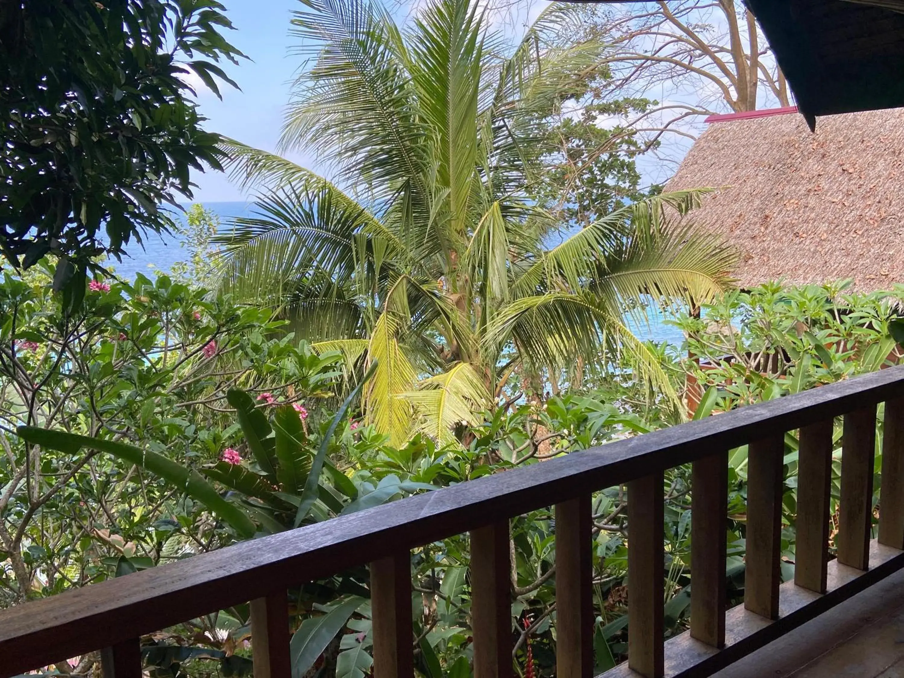 Casa Nemo Beach Resort & Spa Casa Nemo Beach Resort & Spa