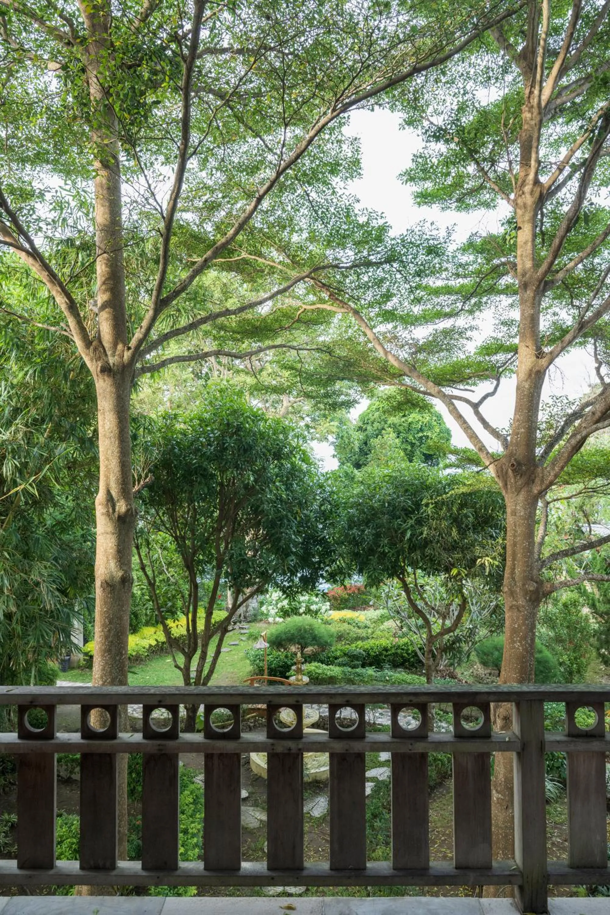 Garden view in Casa Nemo Beach Resort & Spa