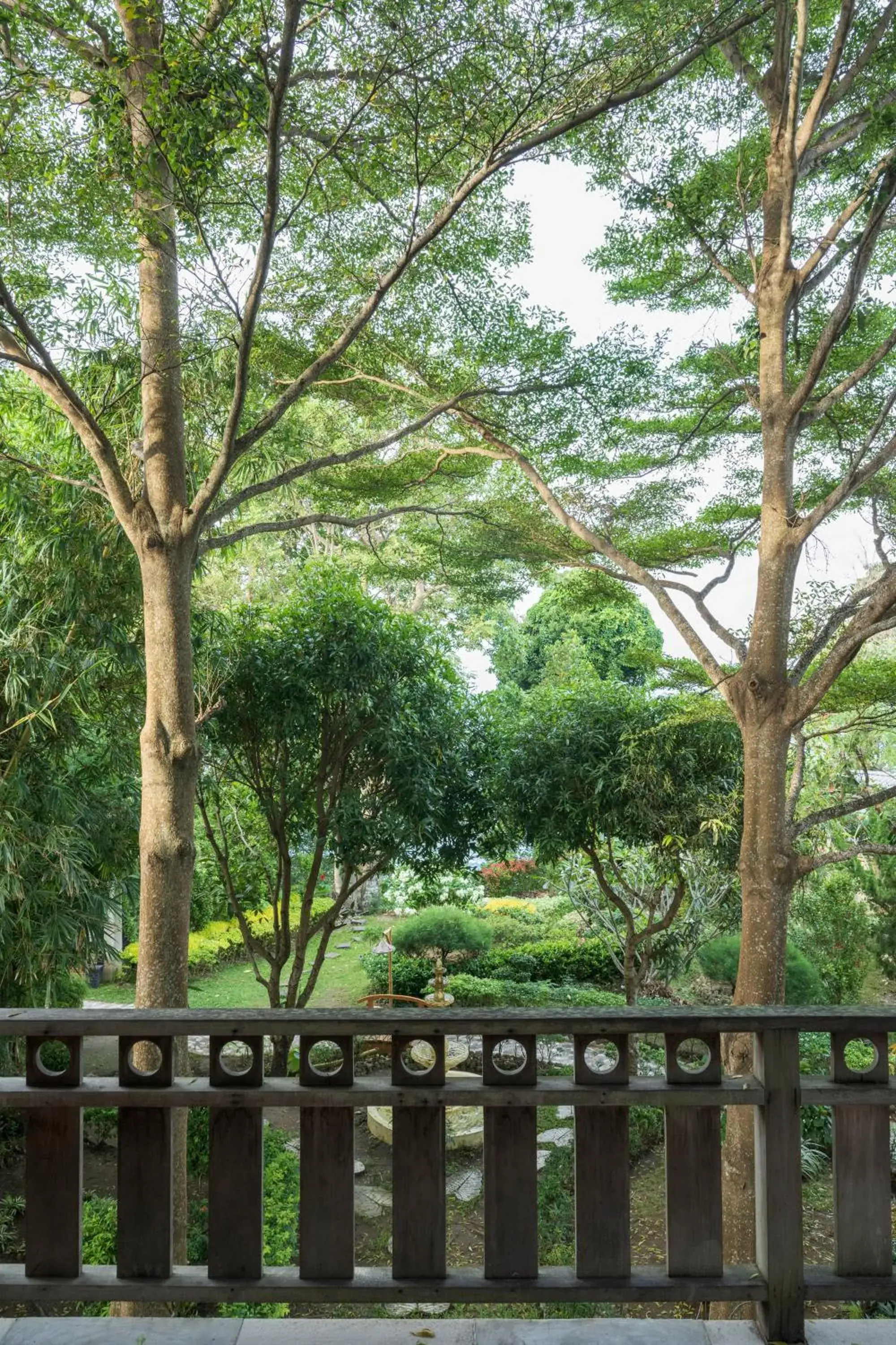 Garden view in Casa Nemo Beach Resort & Spa Garden view in Casa Nemo Beach Resort & Spa