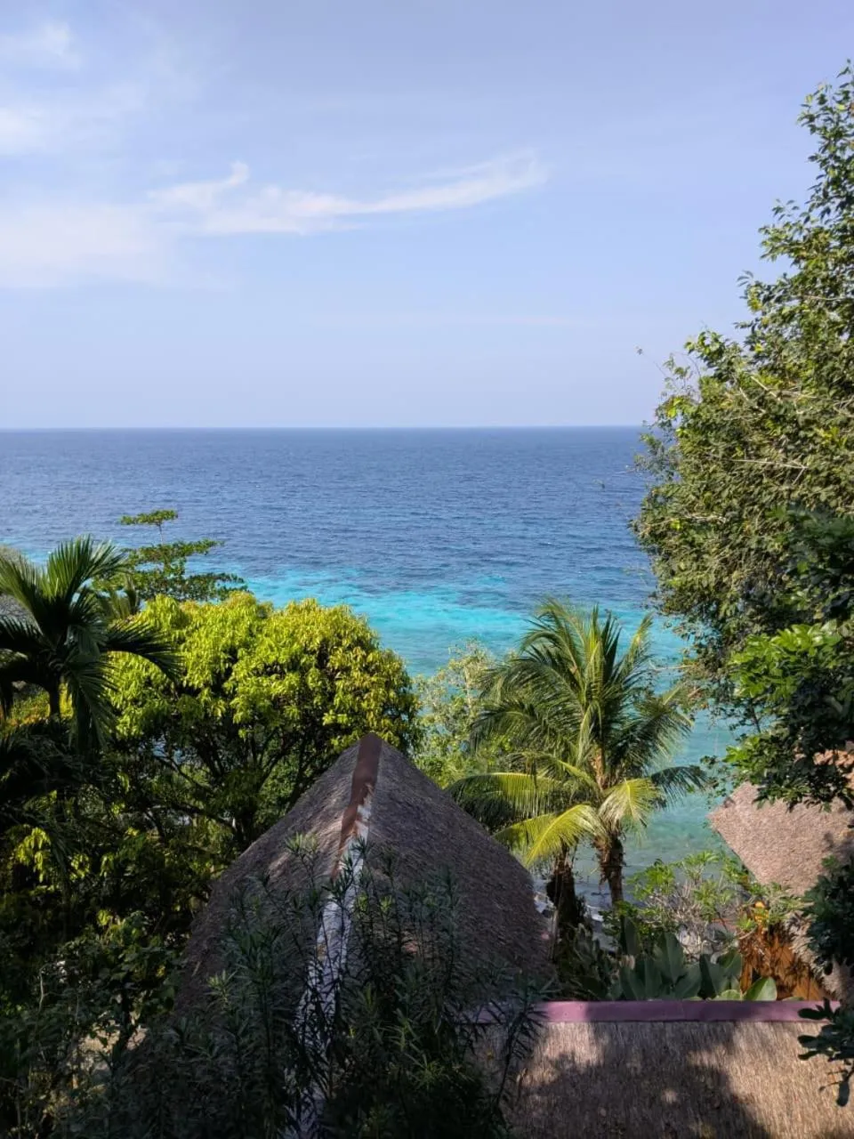 Sea view in Casa Nemo Beach Resort & Spa