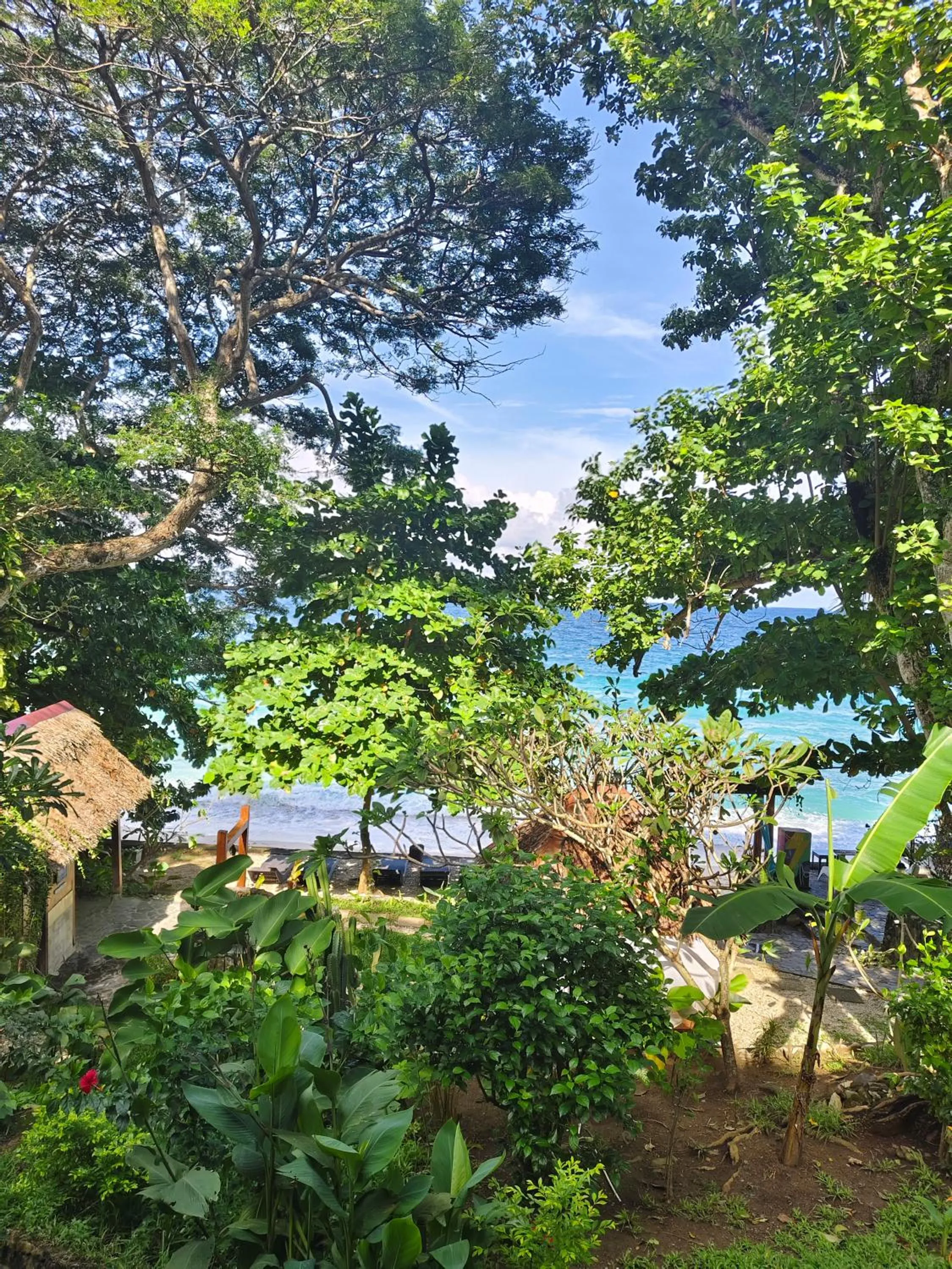 Day in Casa Nemo Beach Resort & Spa