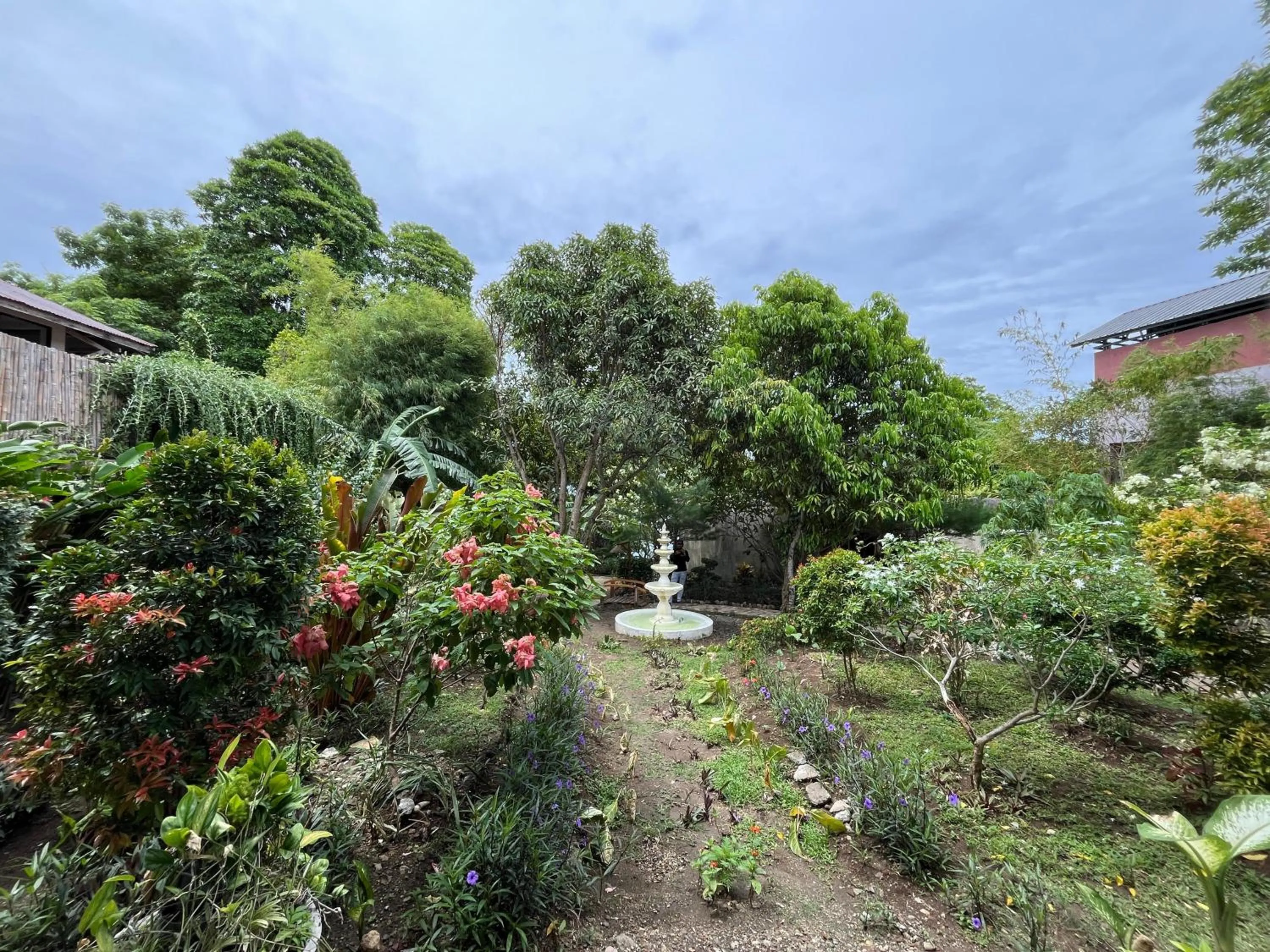 Garden view in Casa Nemo Beach Resort & Spa