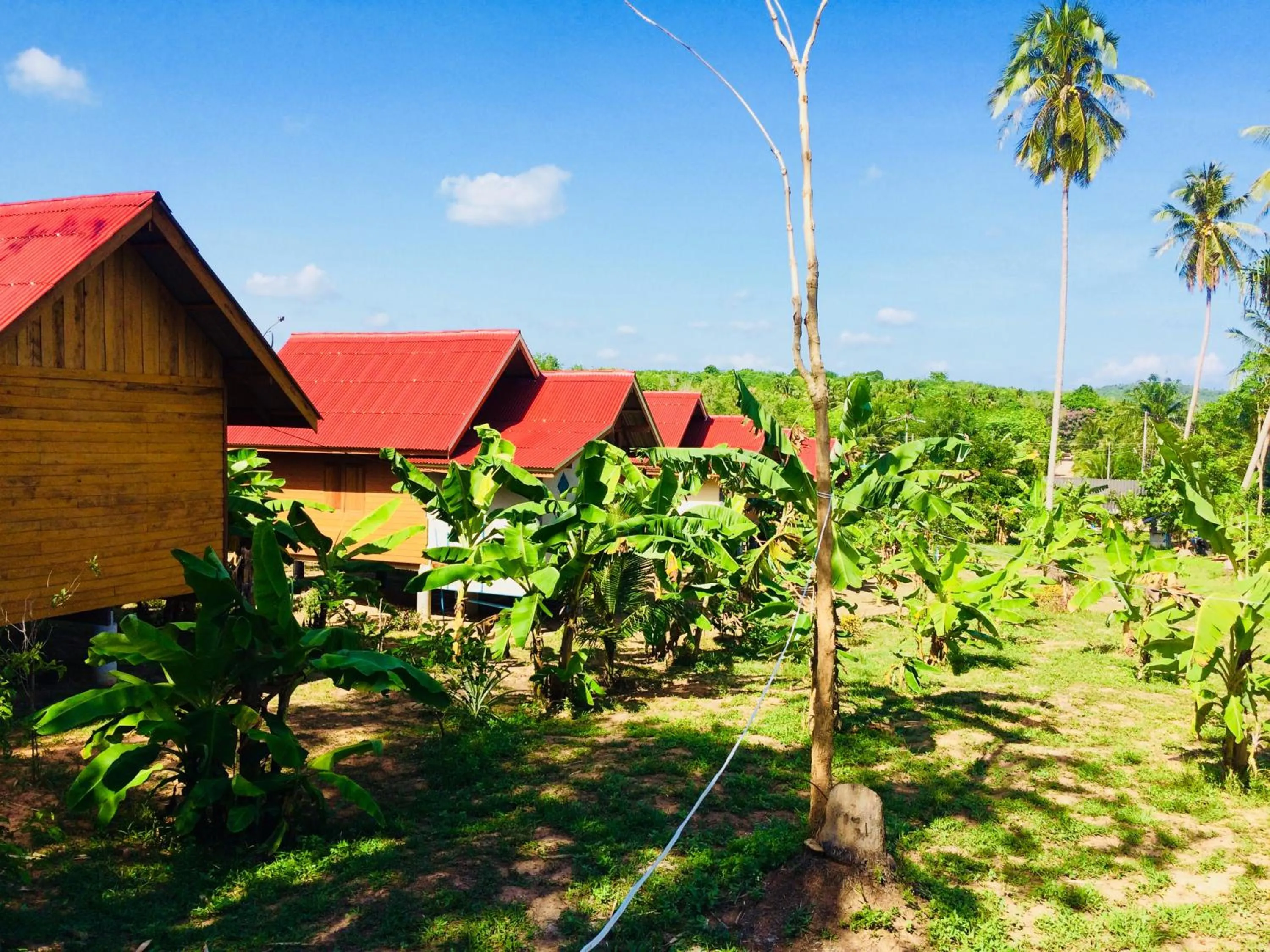 Natural landscape in Gardenhomeresortkohjum
