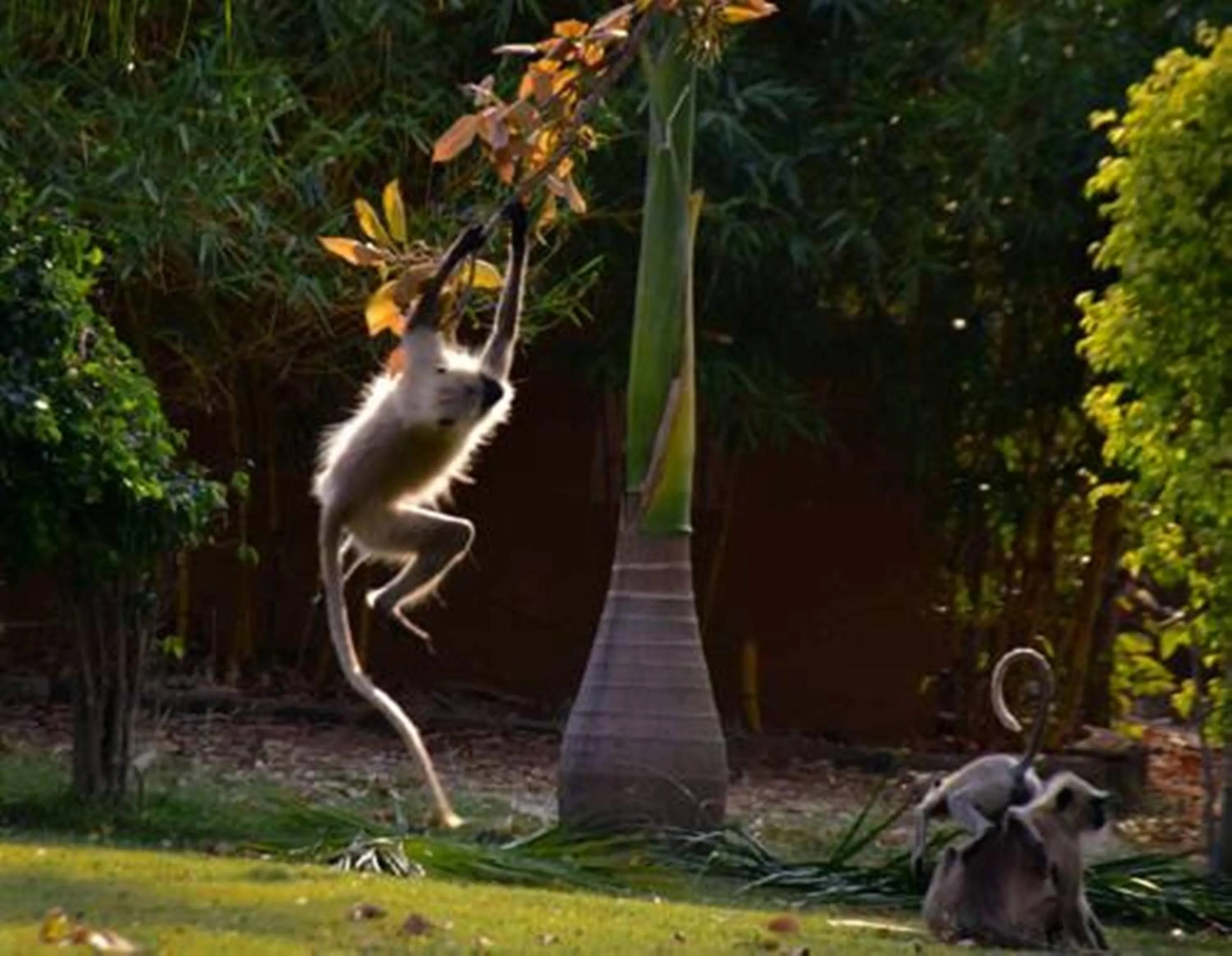 Natural landscape in Vannraj Resort And Spa