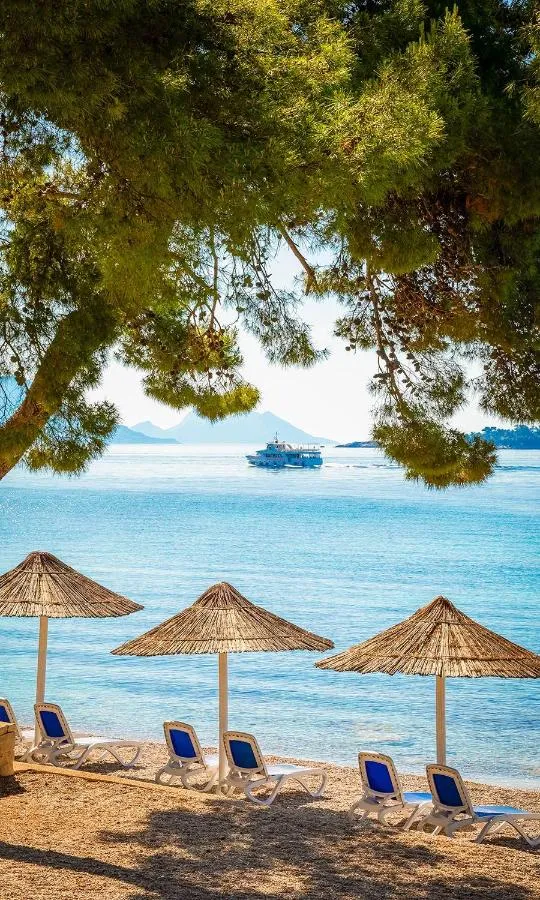 Day in Aminess Vival Grand Azur Hotel