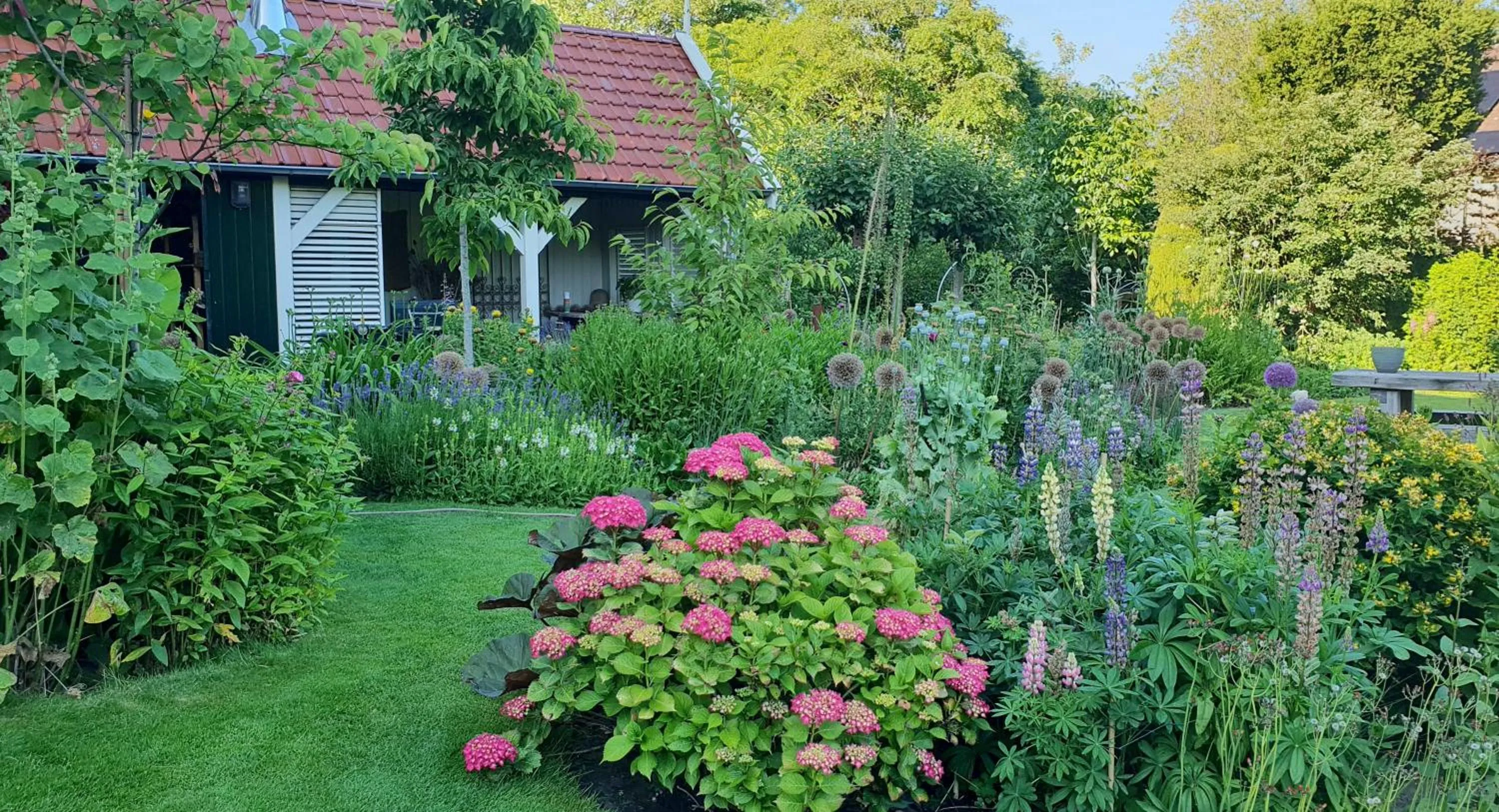 Garden in B&B Slapen bij de burgemeester