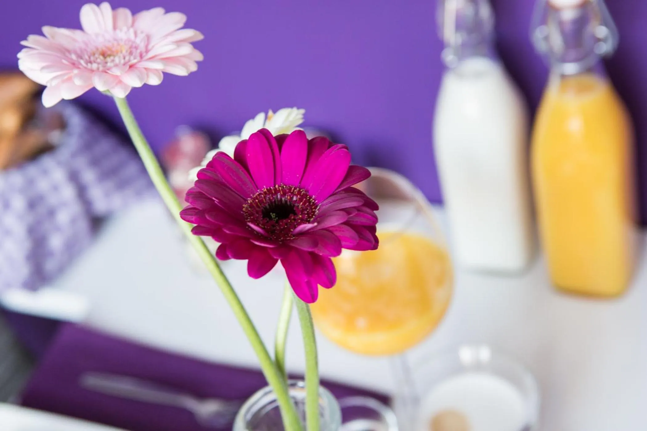 Decorative detail in B&B Slapen bij de burgemeester