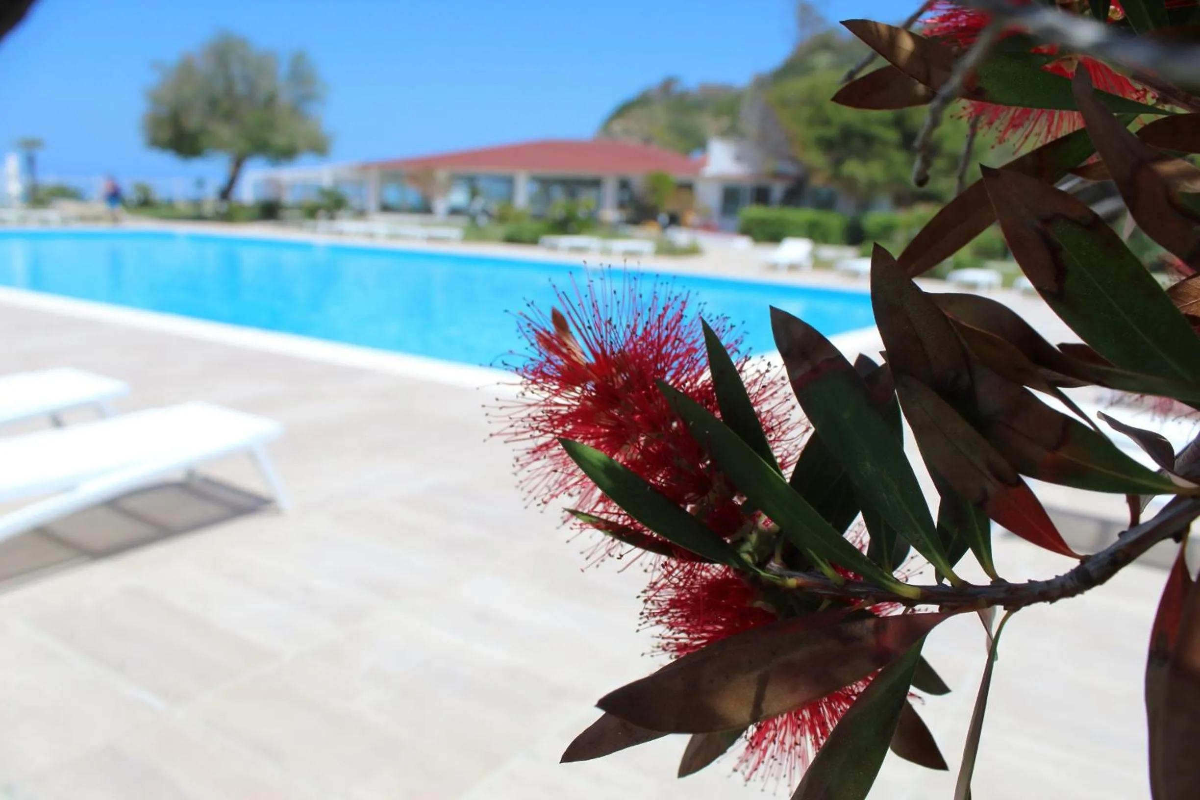 Swimming pool in BV Kalafiorita Resort