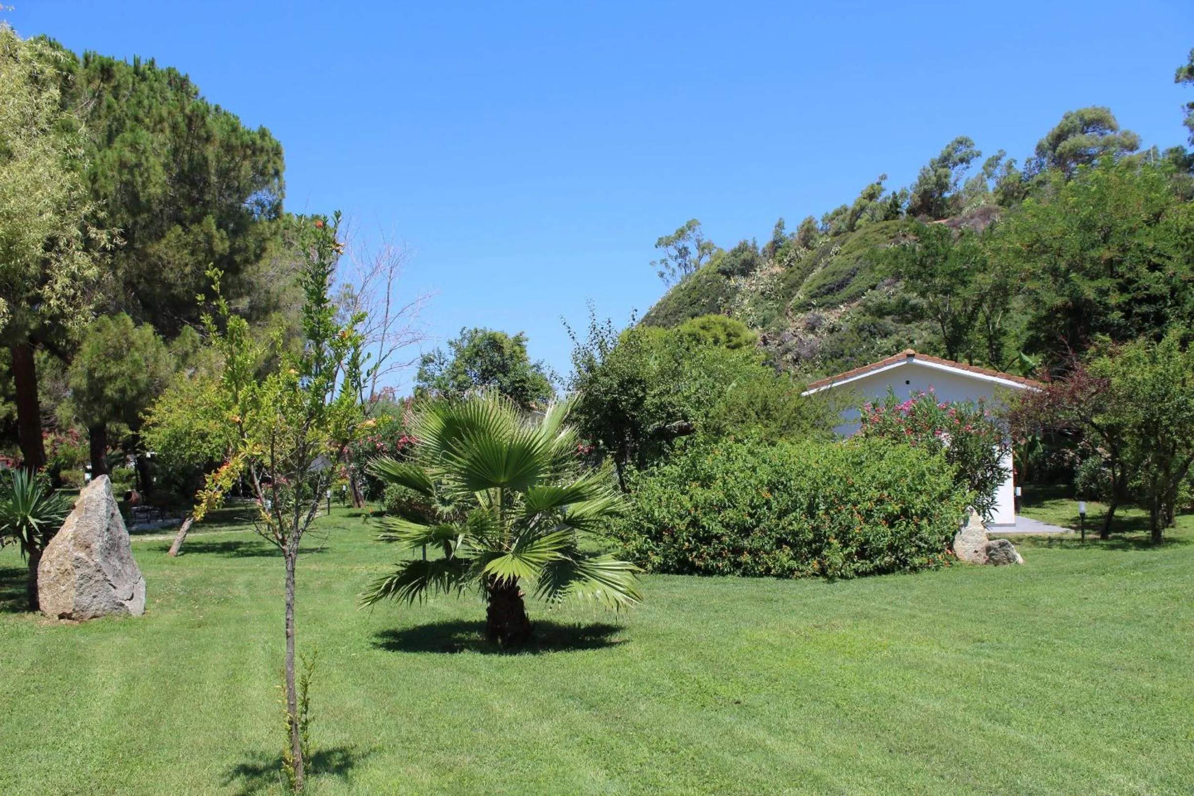 Garden in BV Kalafiorita Resort