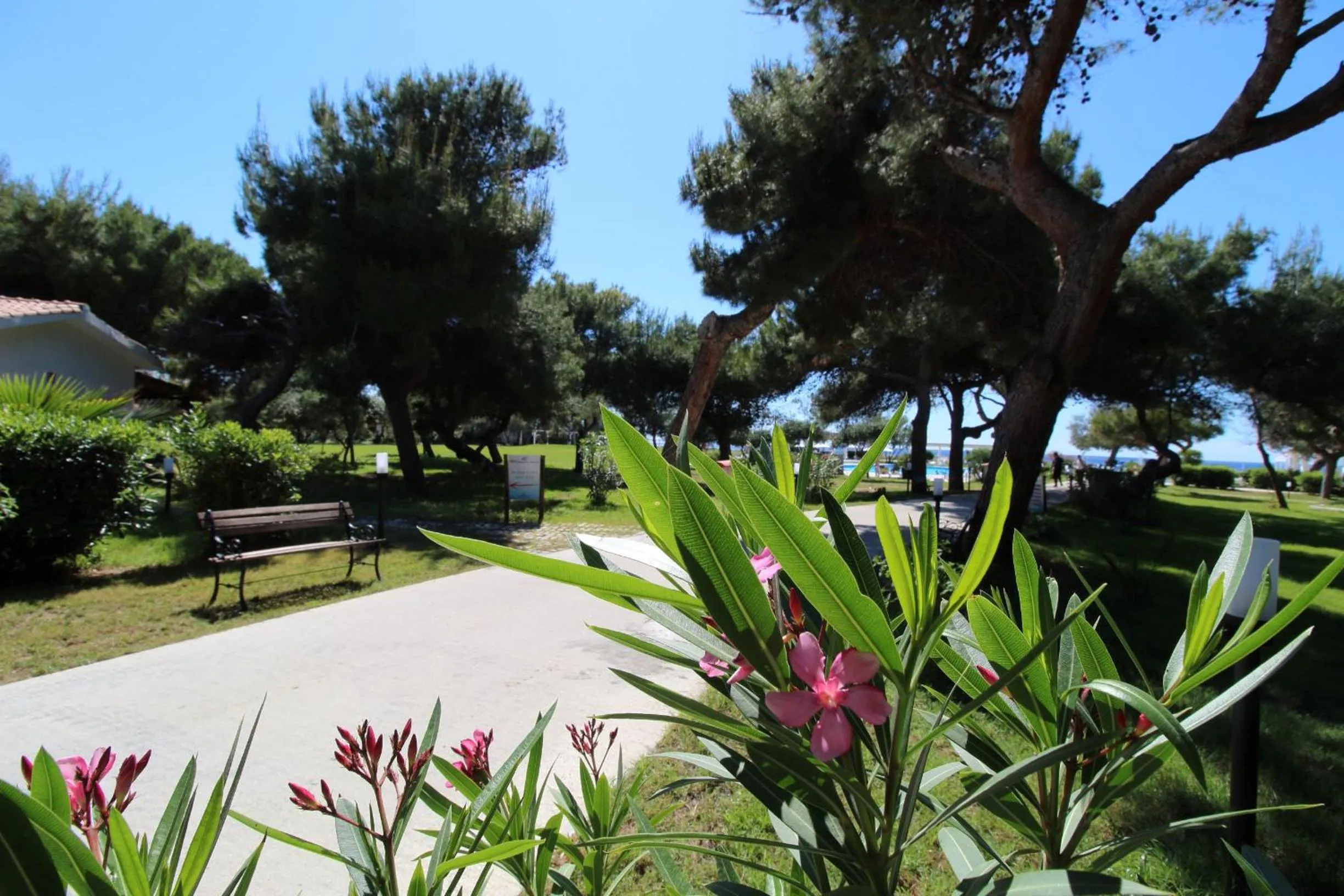 Garden in BV Kalafiorita Resort