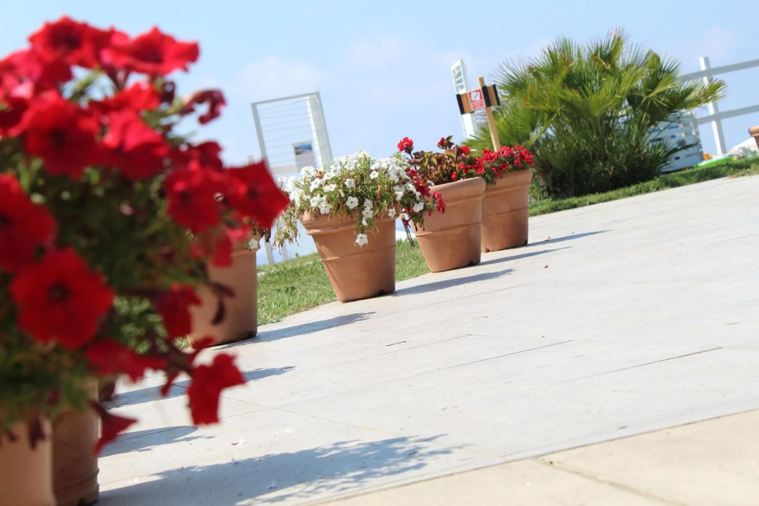 Garden in BV Kalafiorita Resort