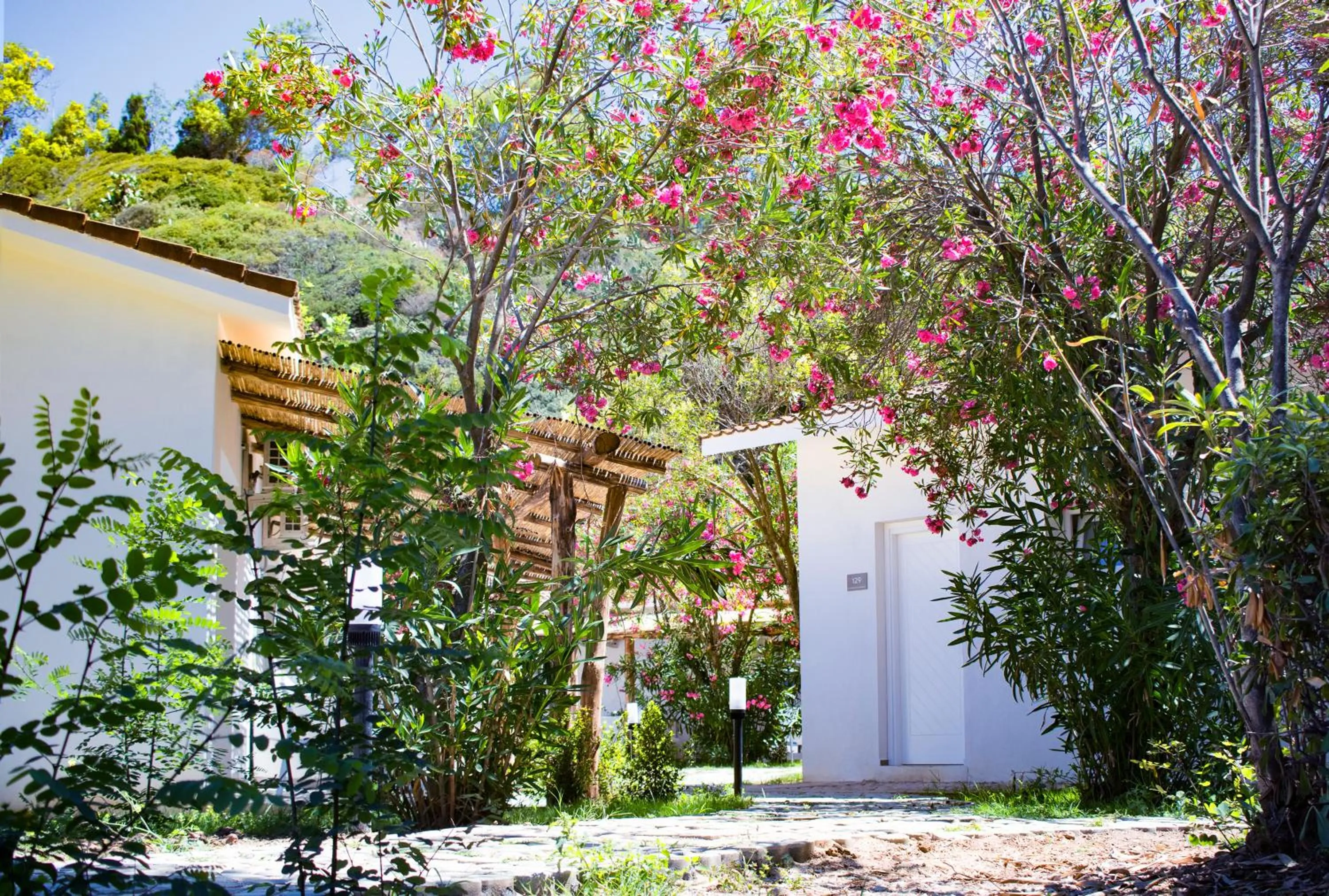 Garden in BV Kalafiorita Resort