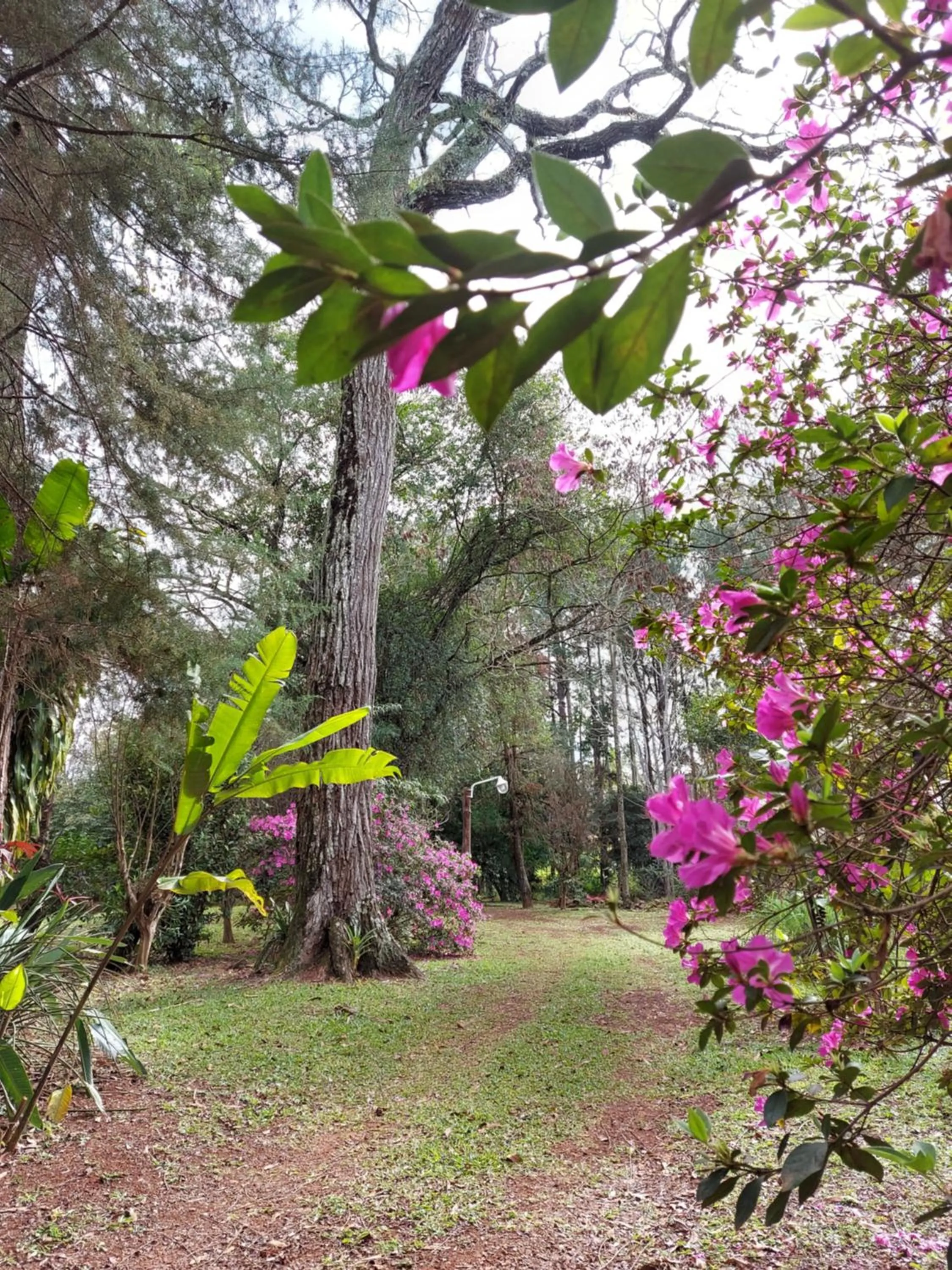 Oasis Bed and Breakfast