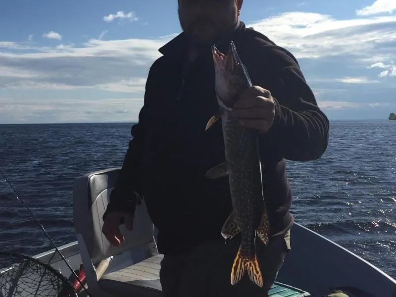 Fishing in Maison sur la plage