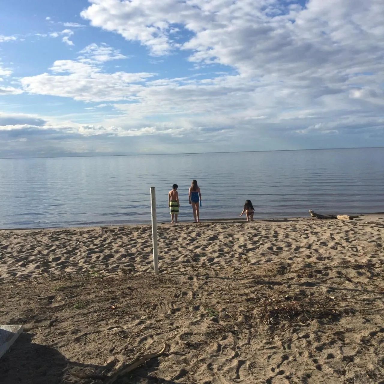 Beach in Maison sur la plage