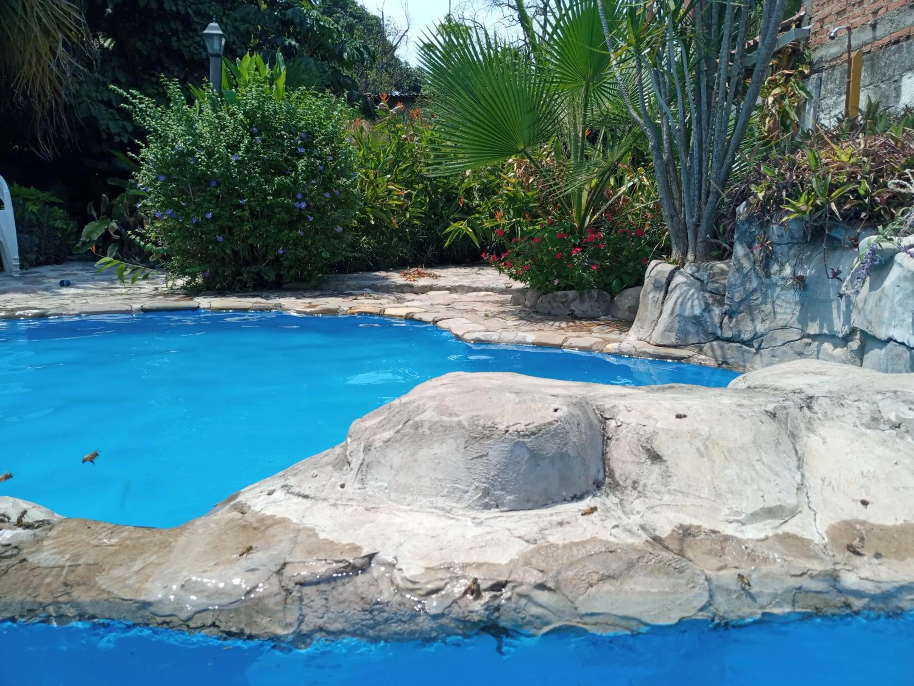 Garden in El Jardin Colonial