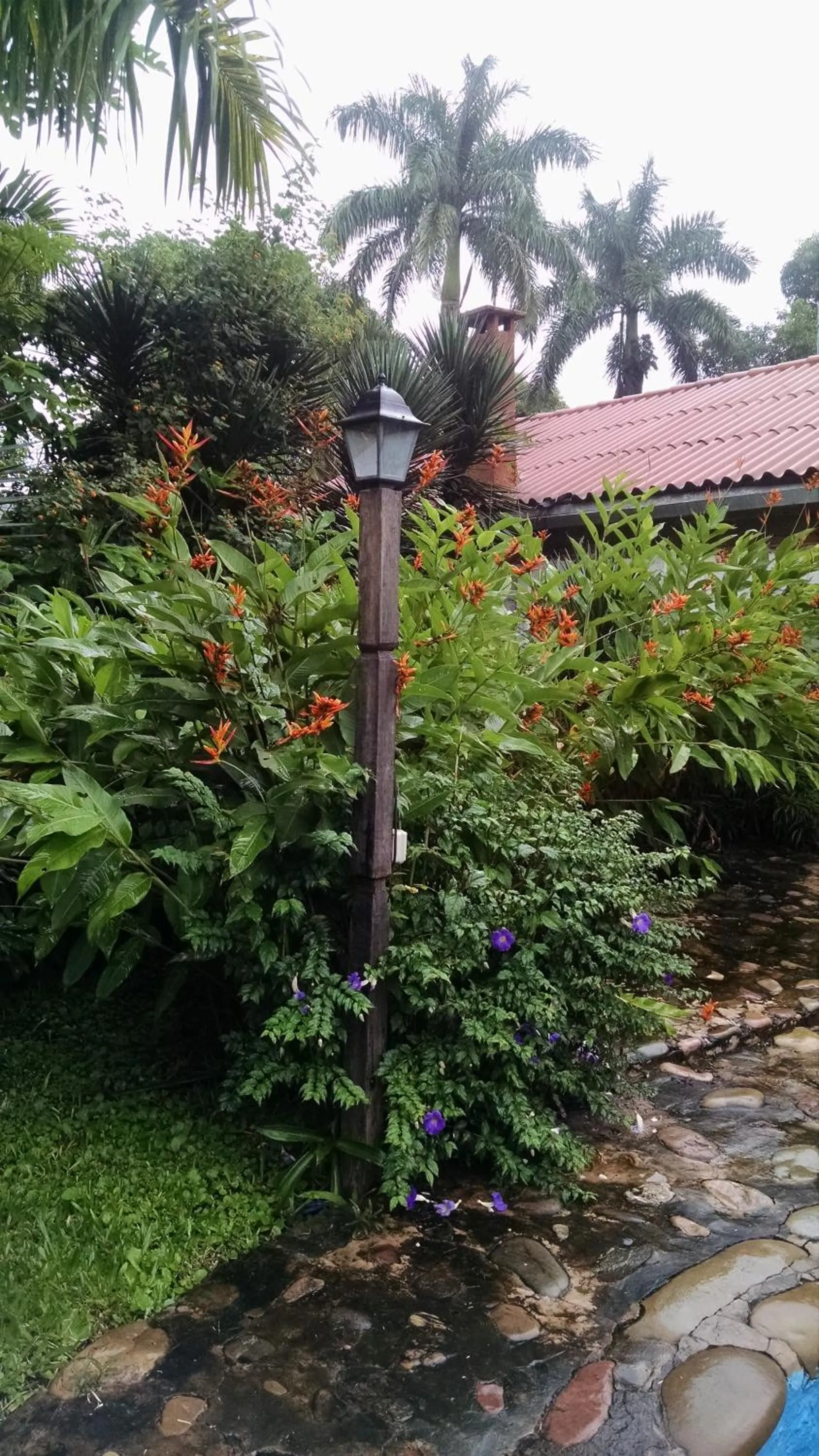 Garden in El Jardin Colonial