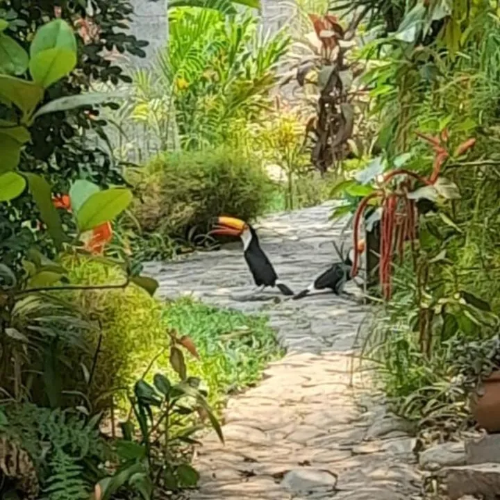 Garden in El Jardin Colonial