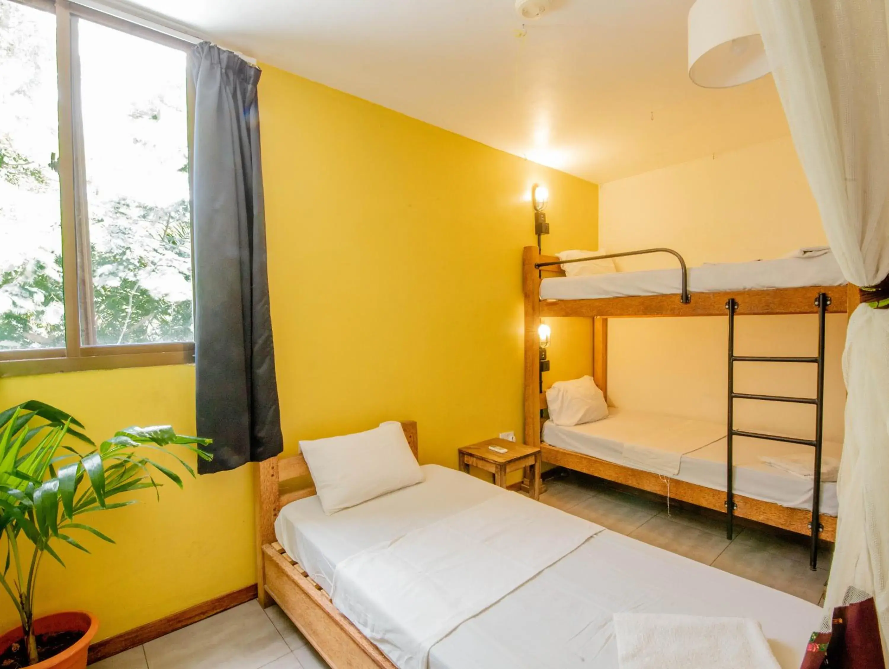 Basic Triple Room with Shared Bathroom in The Slow Leopard Basic Triple Room with Shared Bathroom in The Slow Leopard