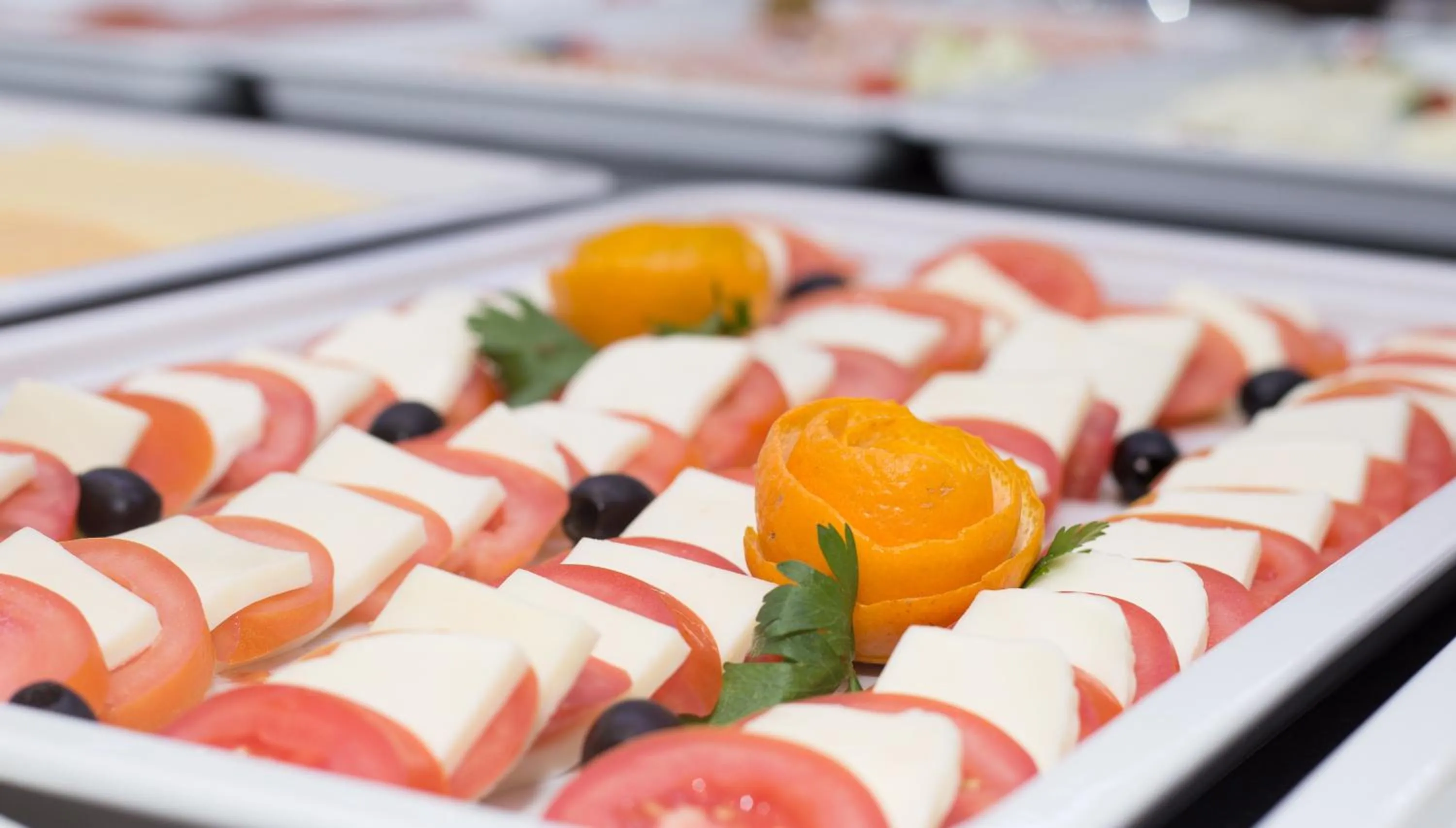 Meals in Hotel Plaža