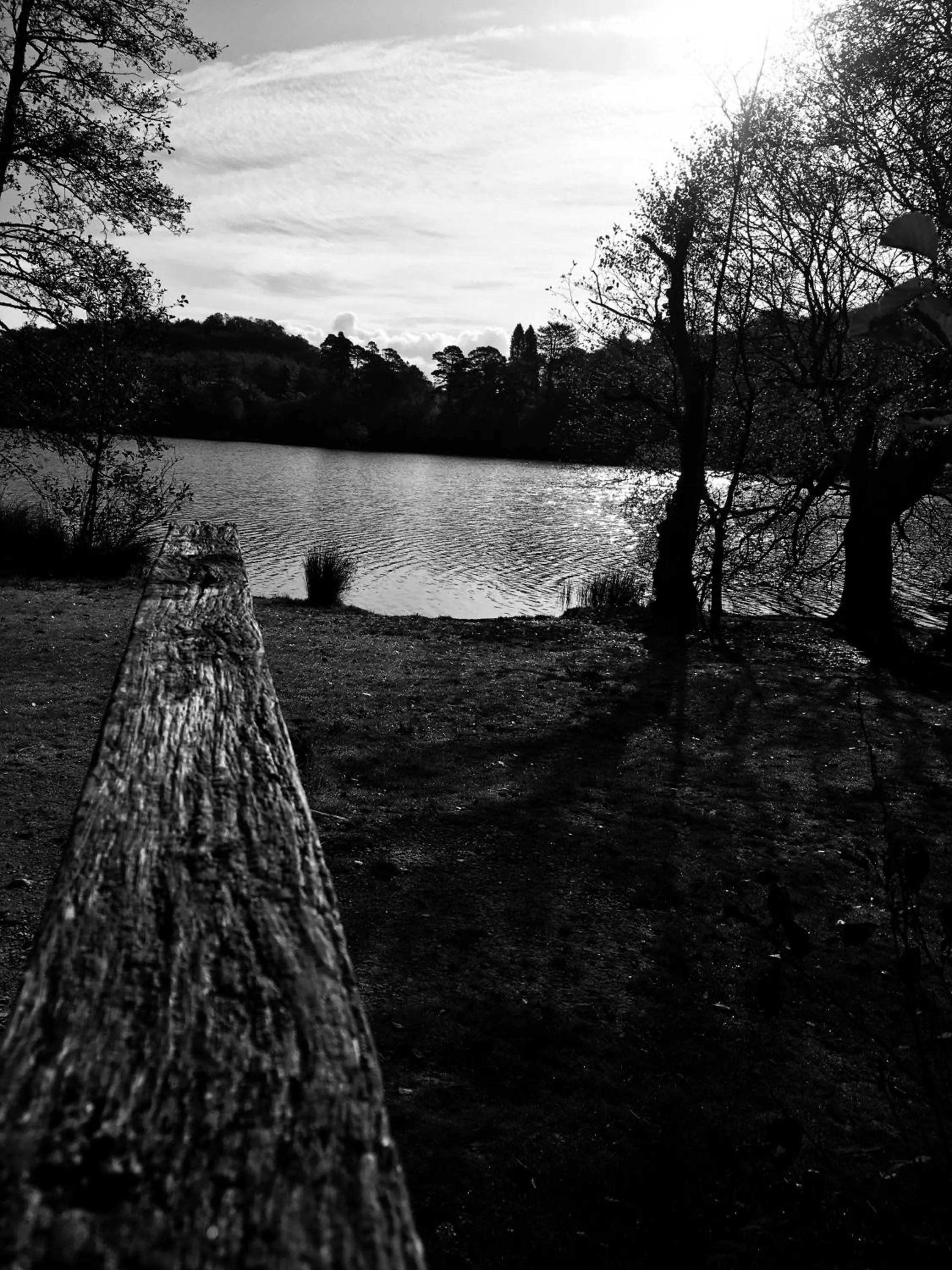 Natural landscape in Pisgah Guesthouse Snowdonia