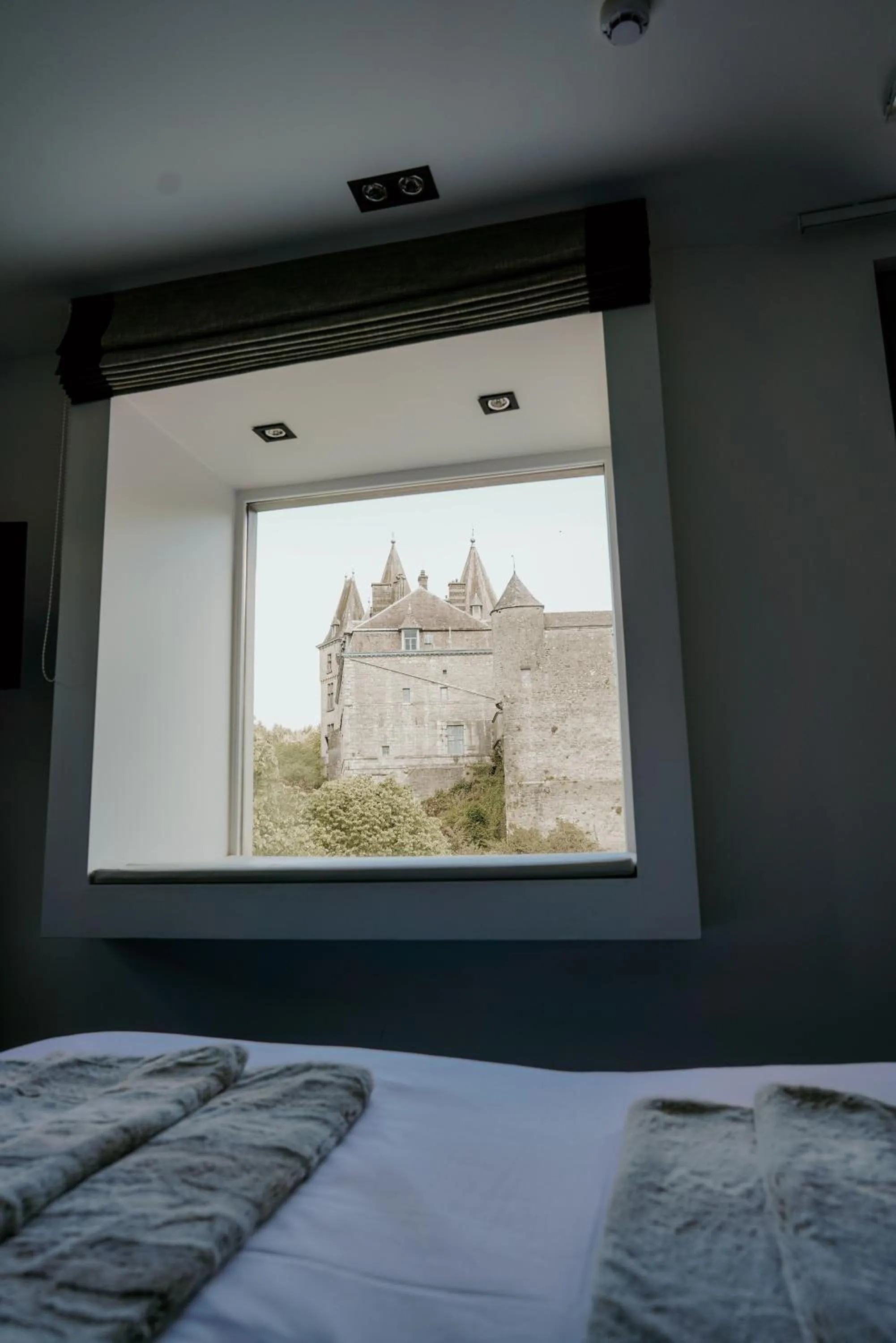 Photo of the whole room, Bed in Hotel Sanglier