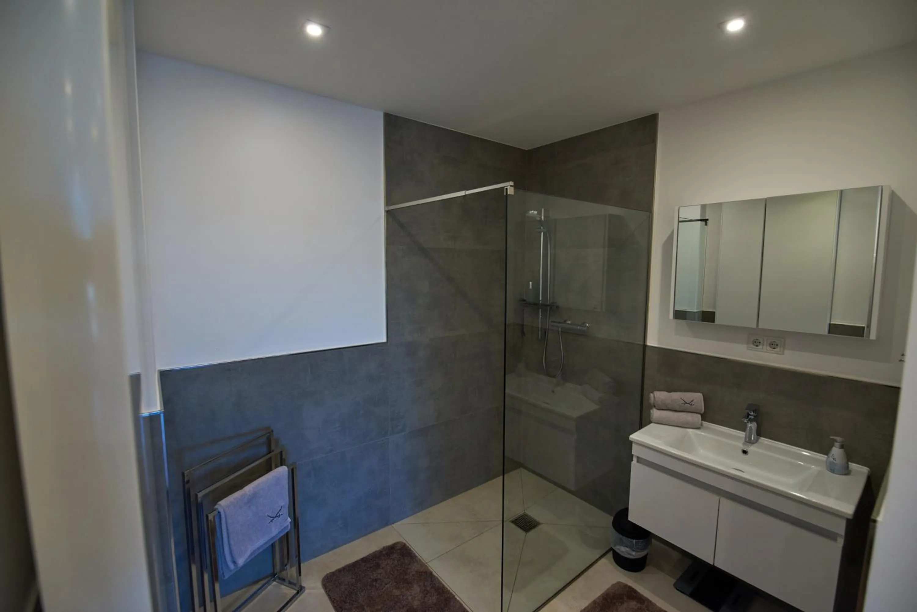 Shower in Business Apartments Höfle